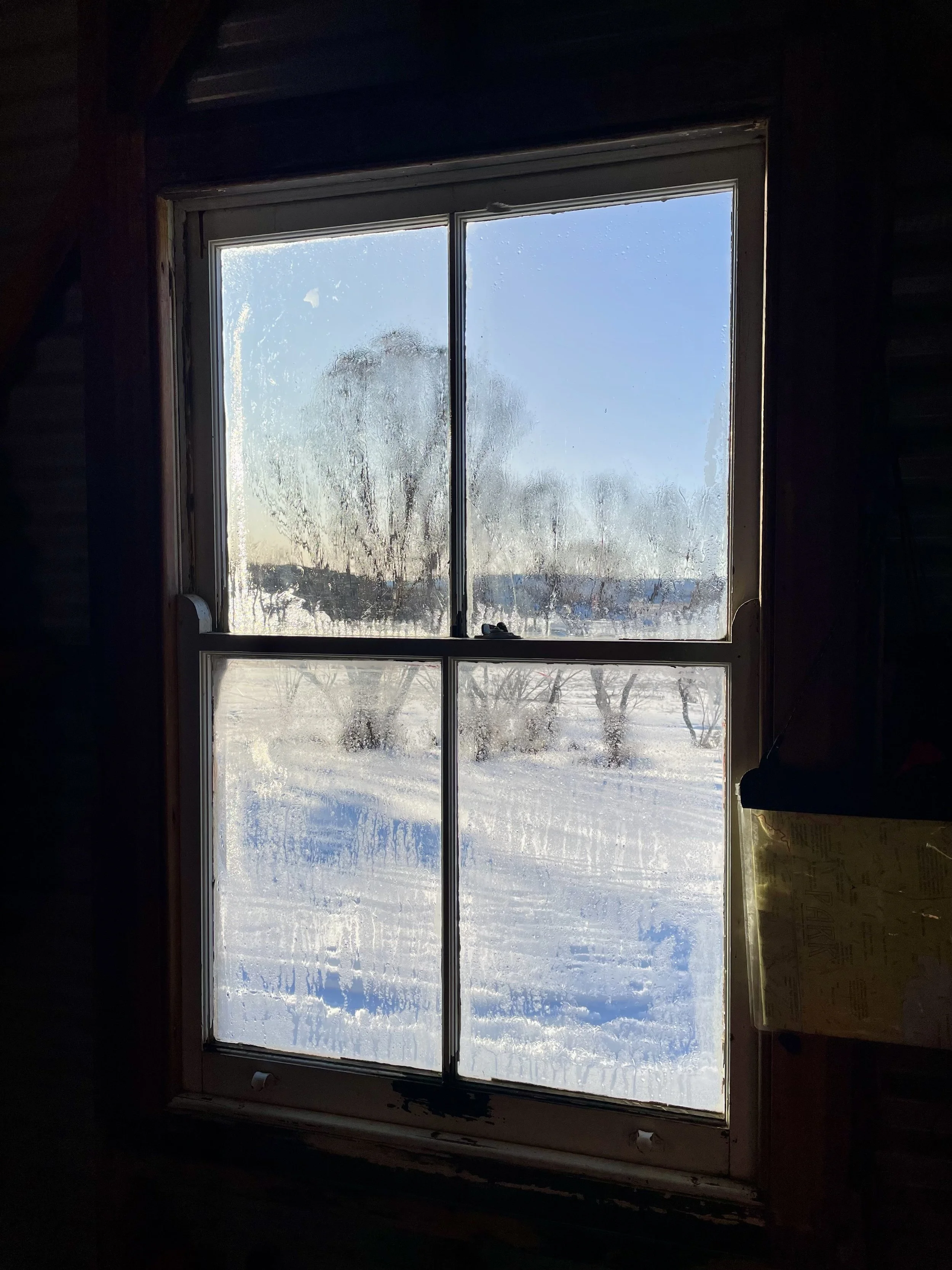 IMG_7464.jpeg
