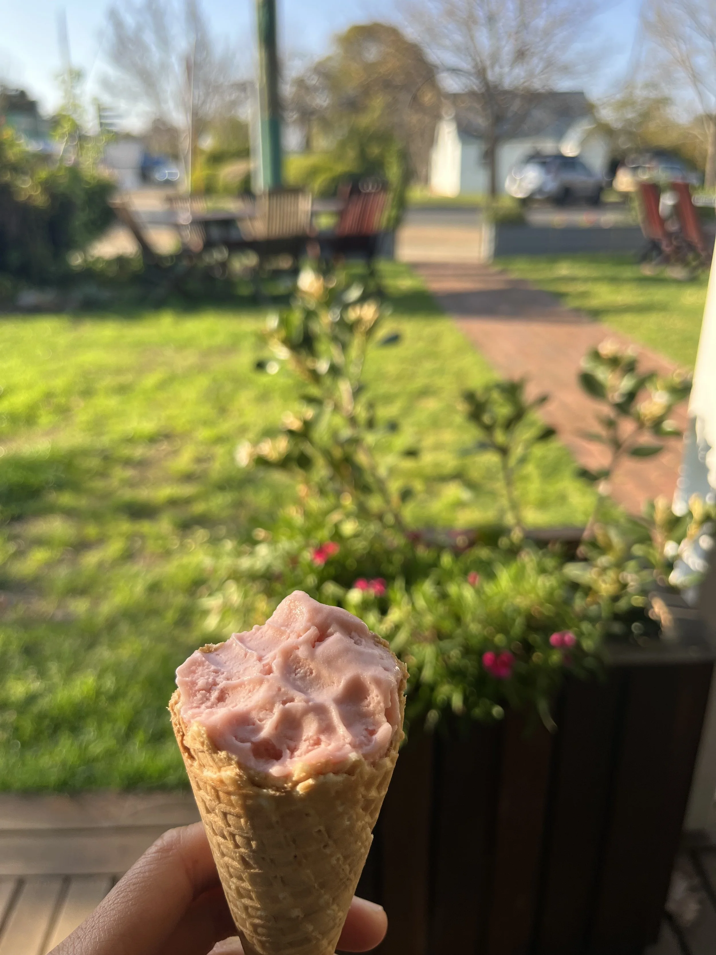 IMG_5511.jpeg