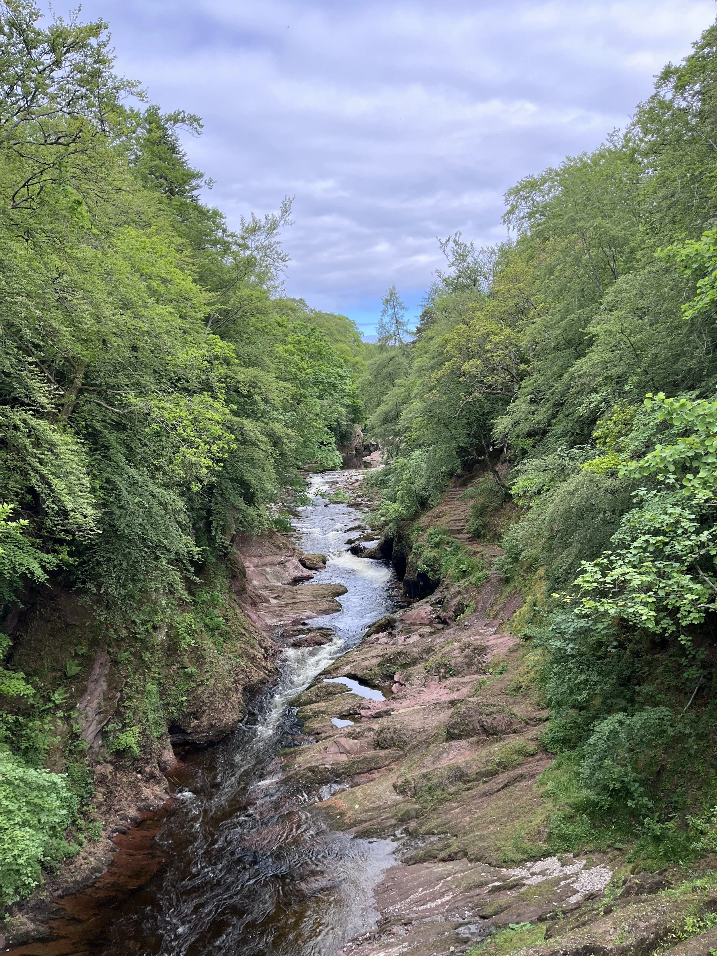 IMG_3496.jpeg