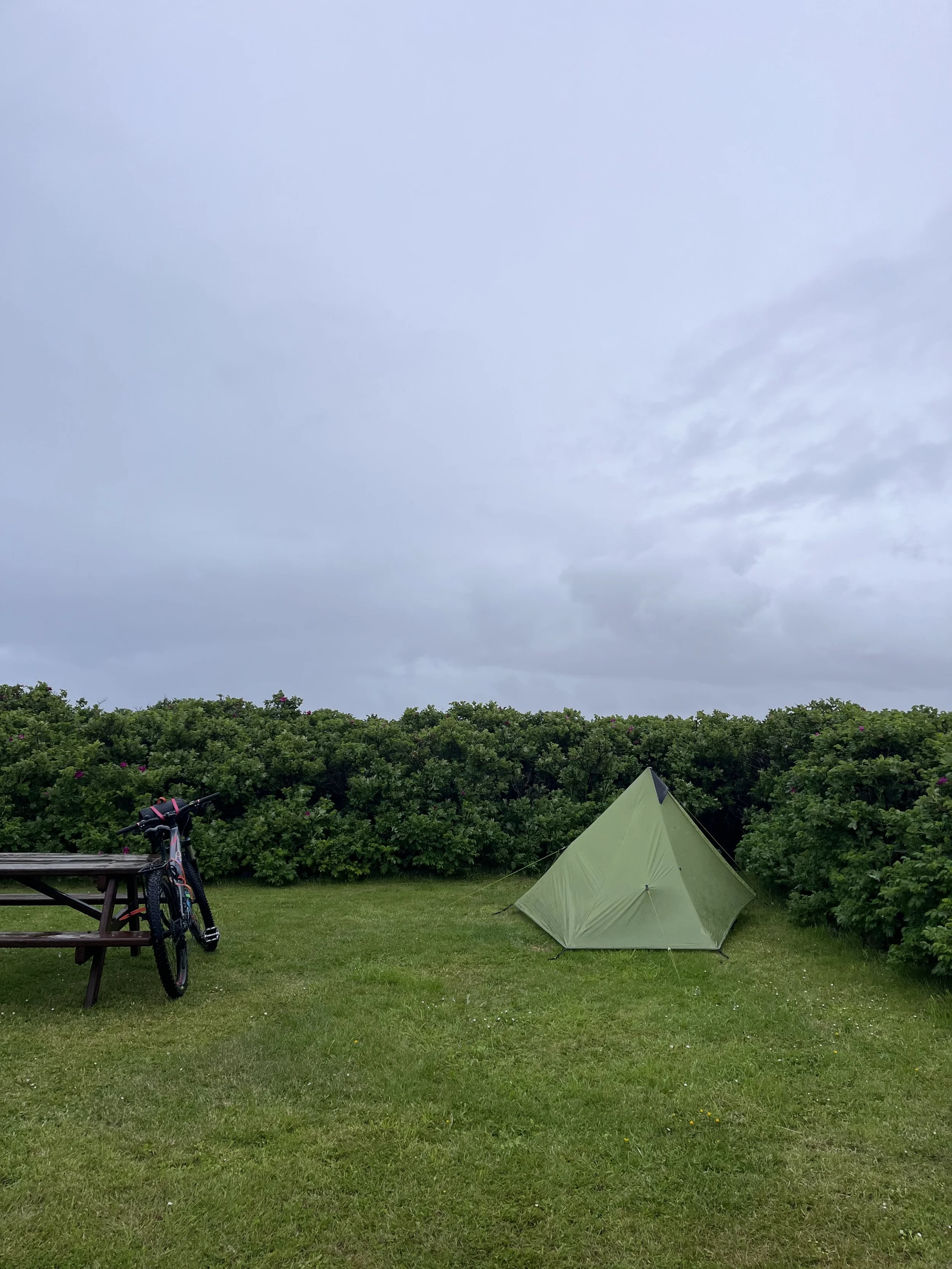 IMG_4136.jpeg