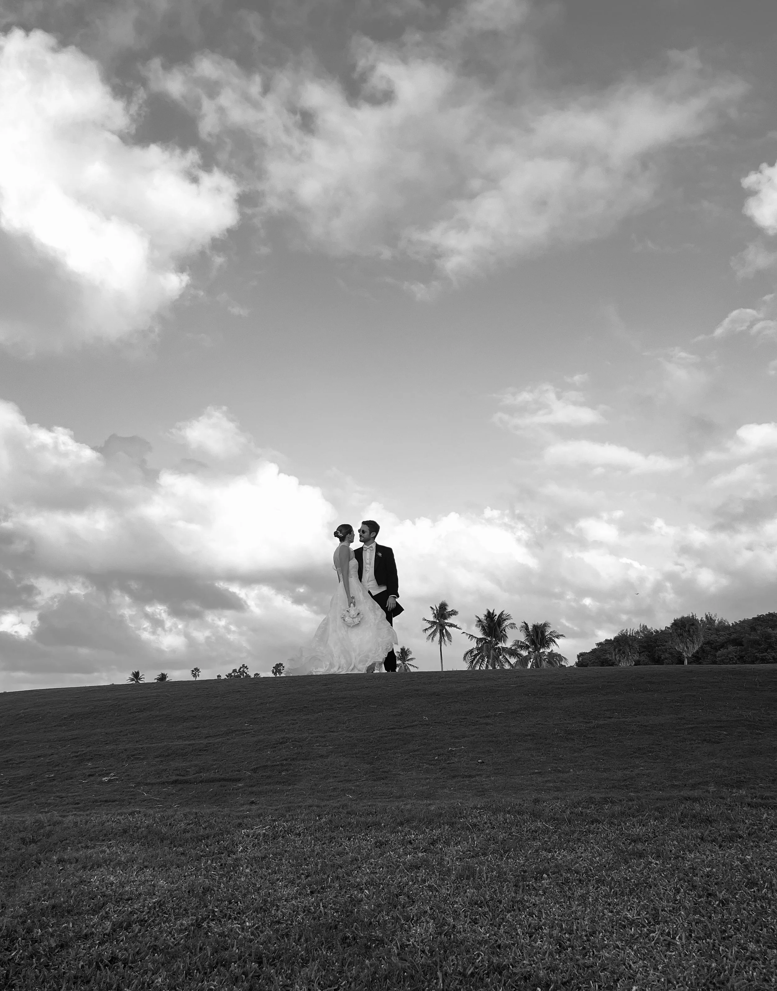 A black-and-white photo of a bride and groom standing on a hilltop with palm trees in the background, under a cloudy sky.