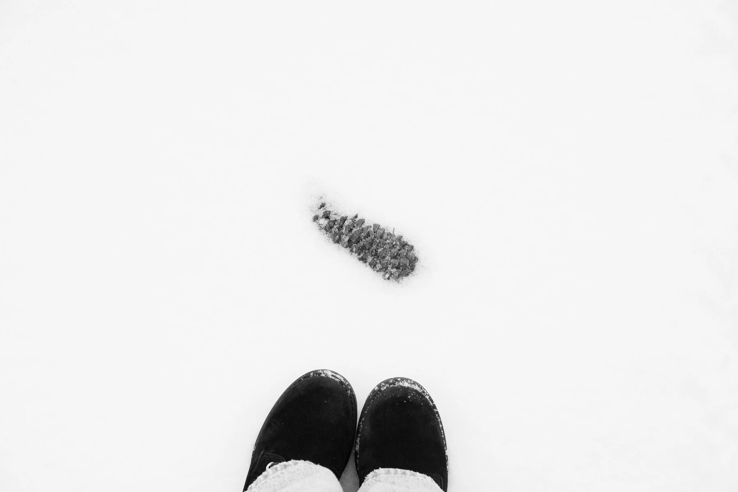View from above of a person standing on snow with black boots, looking at a large caterpillar in the snow.