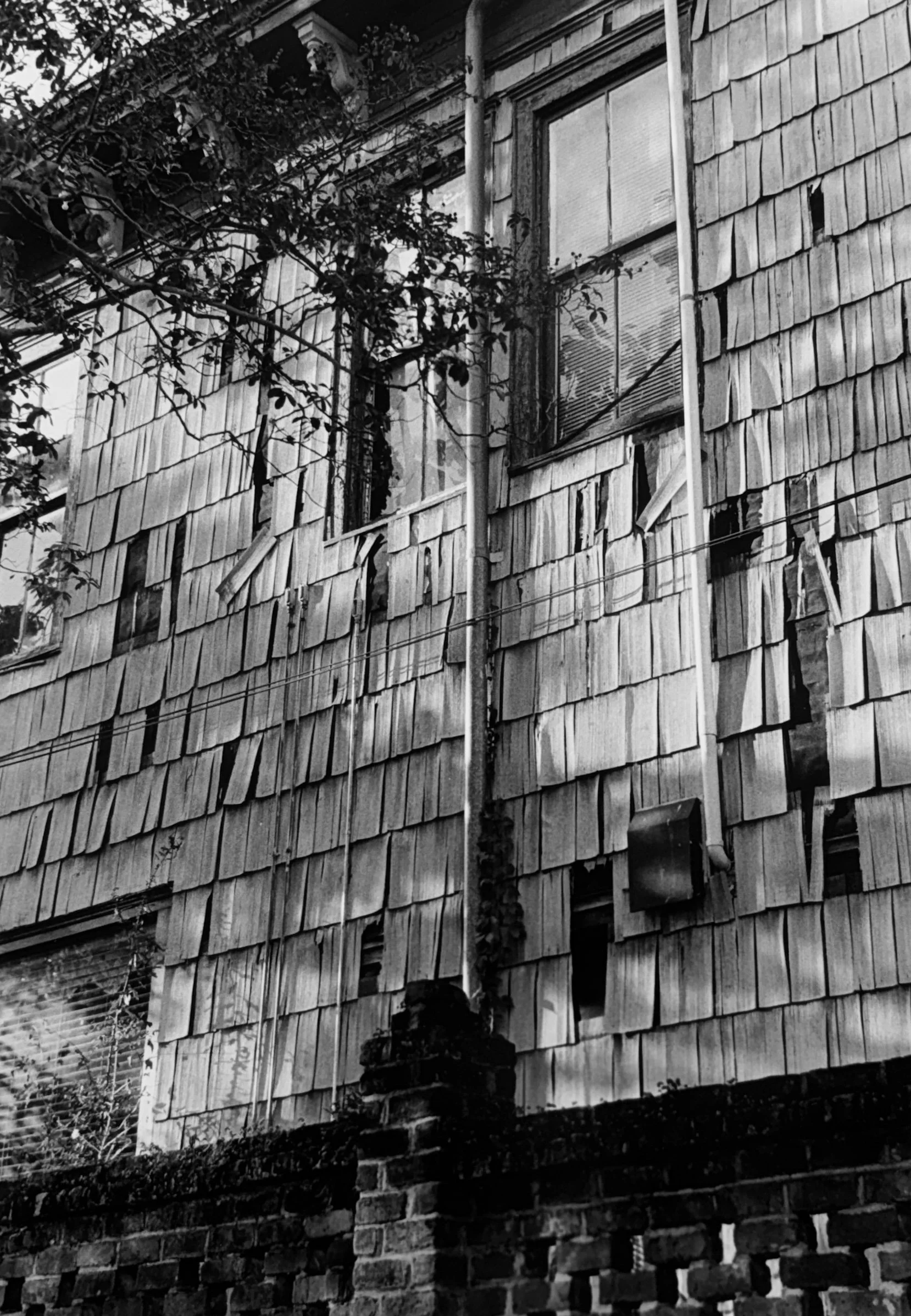Black and white photo of an old house with weathered wooden shingles on the exterior, some of which are warped or missing, and a brick foundation. There are windows, one with blinds partially open, and a person looking out. A tree with branches and l