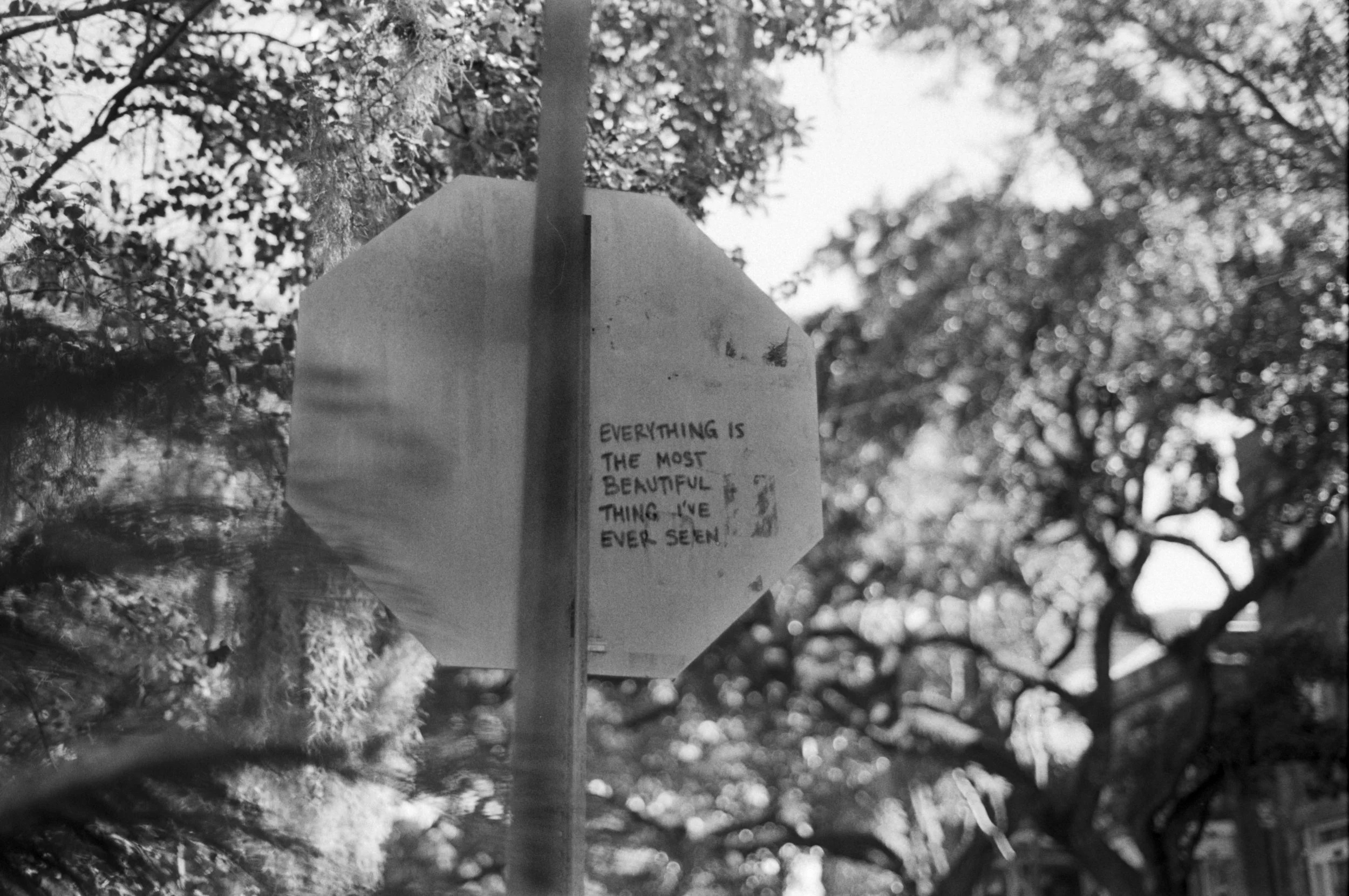 A street sign with a handwritten note that reads, 'Everything is the most beautiful thing I've ever seen,' surrounded by trees and sunlight.