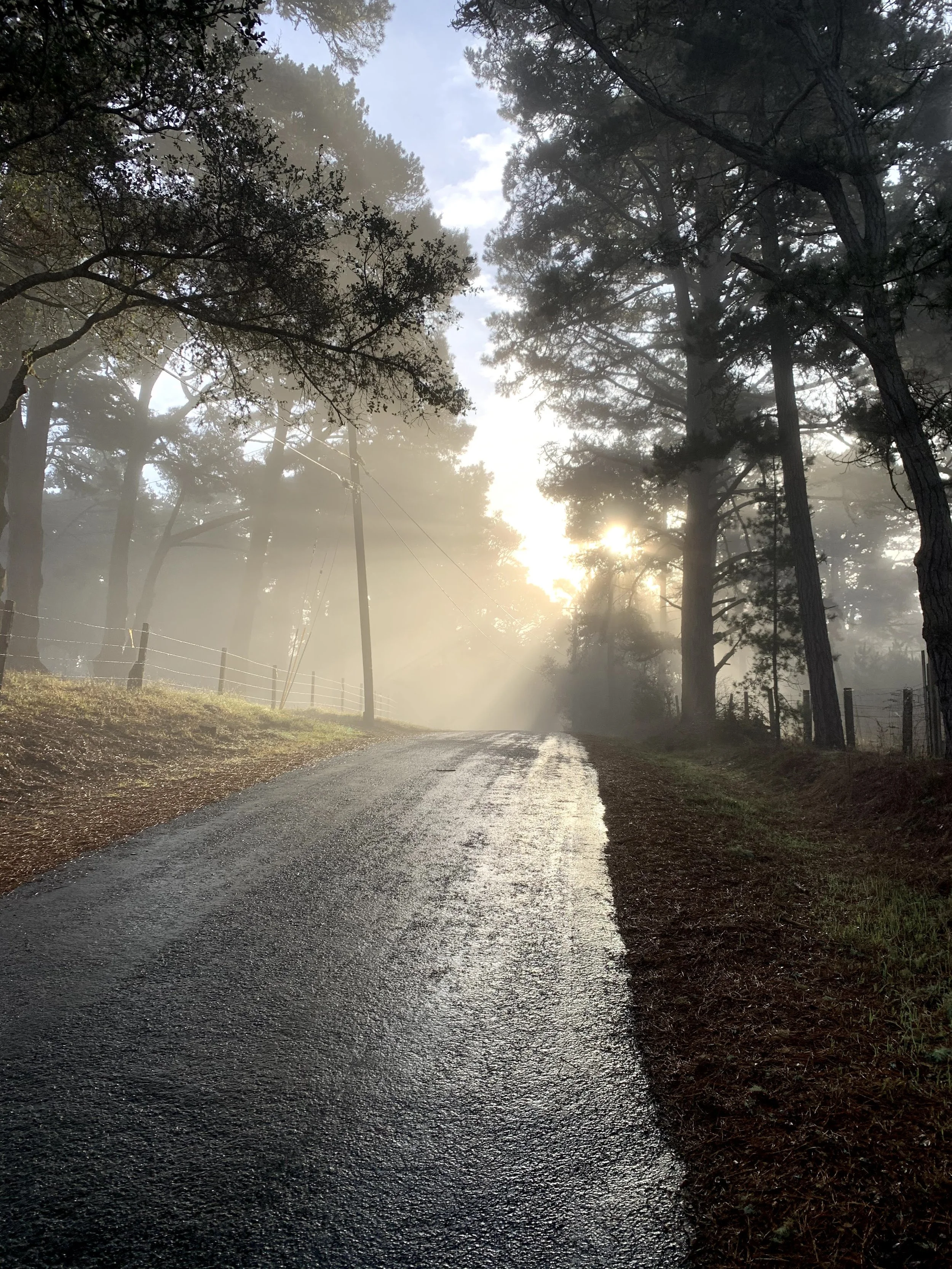 The Science of the "Reset": How Effort Rewires Your Brain