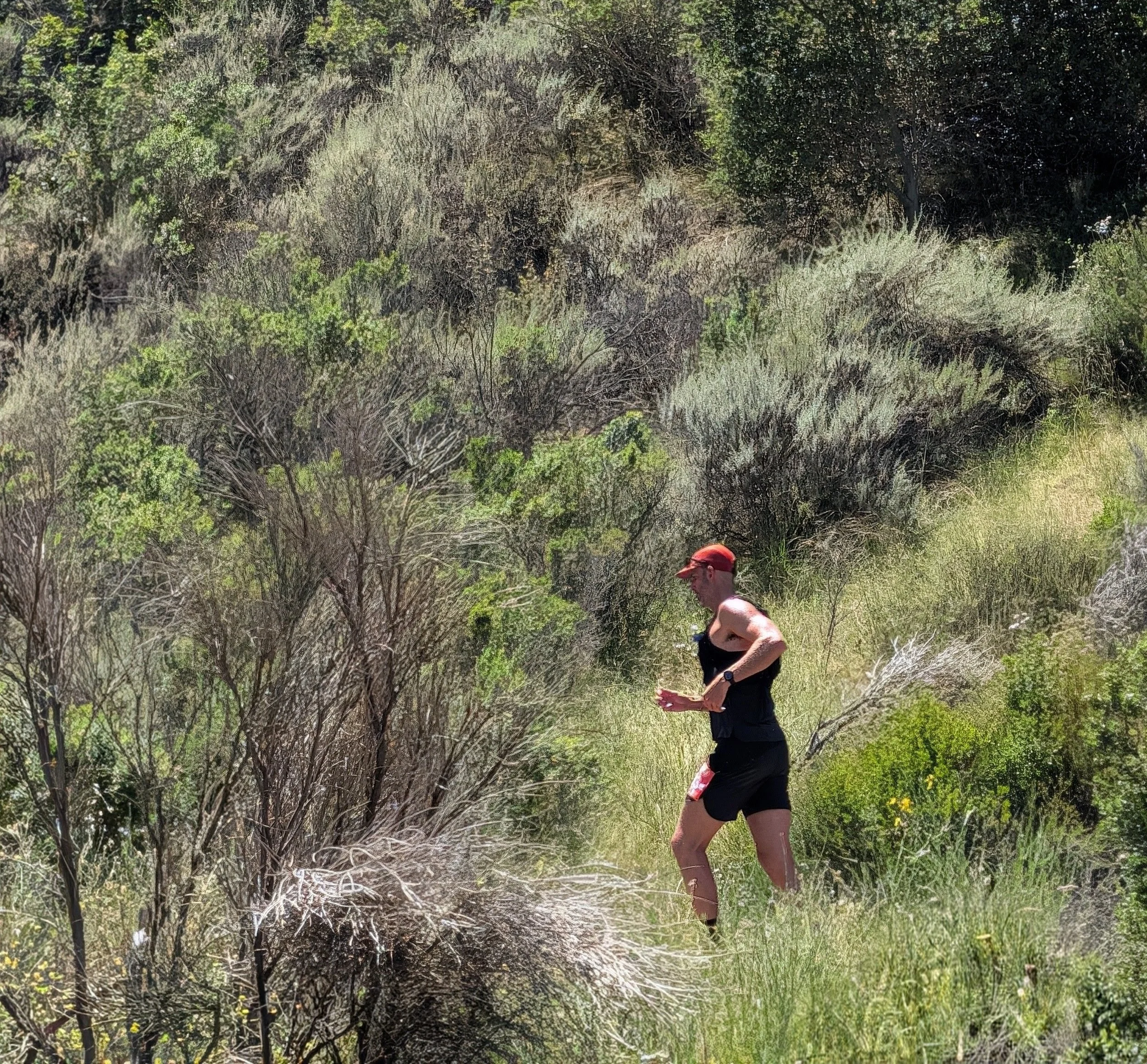 Inside the Outside: Pacing the Quicksilver 100K