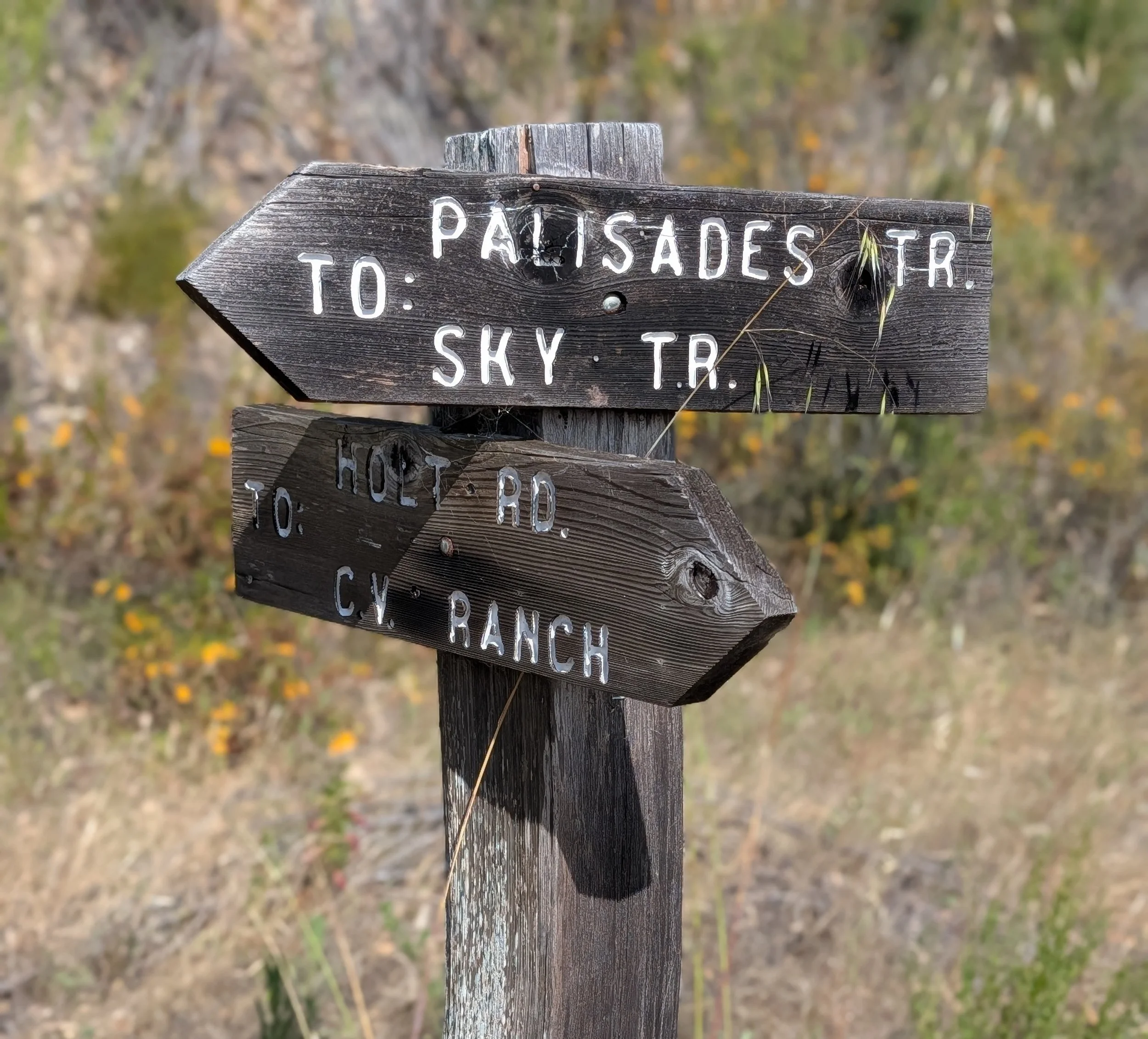 Above the Valley: Our Journey to the Sky Trail in Carmel Valley