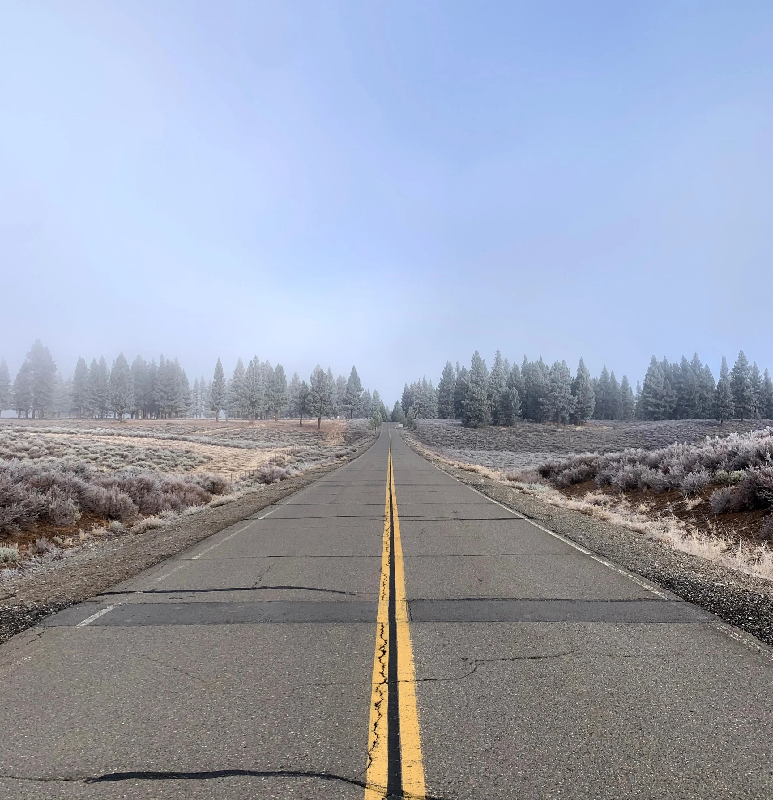 The Science of the "Reset": How Effort Rewires Your Brain