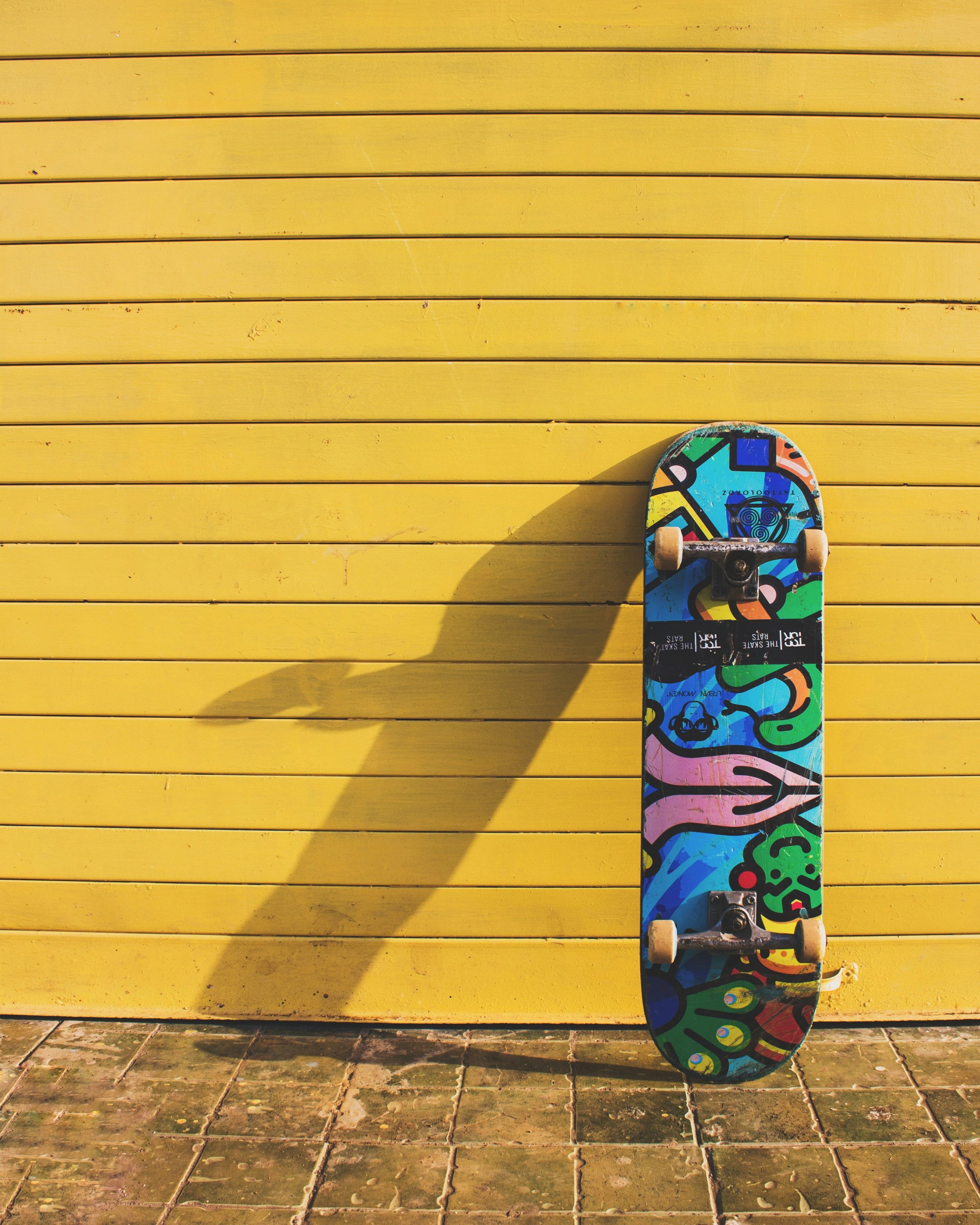 New Skateboarder Society : Season Opening