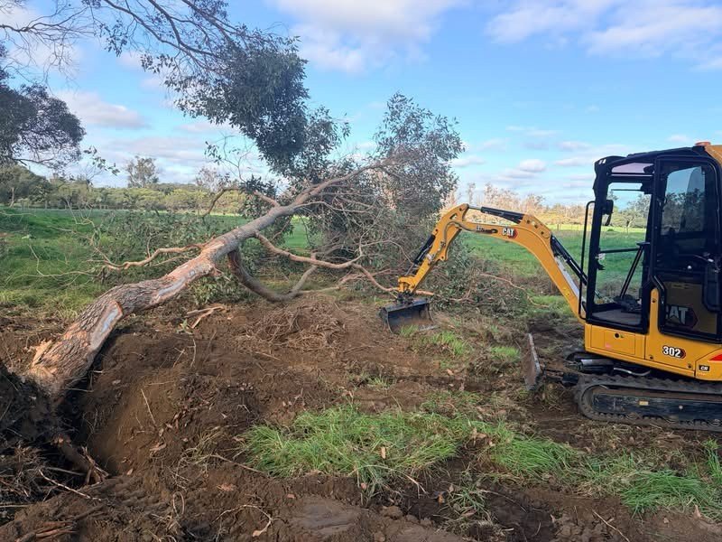 Tree removal and rural earthworks busselton