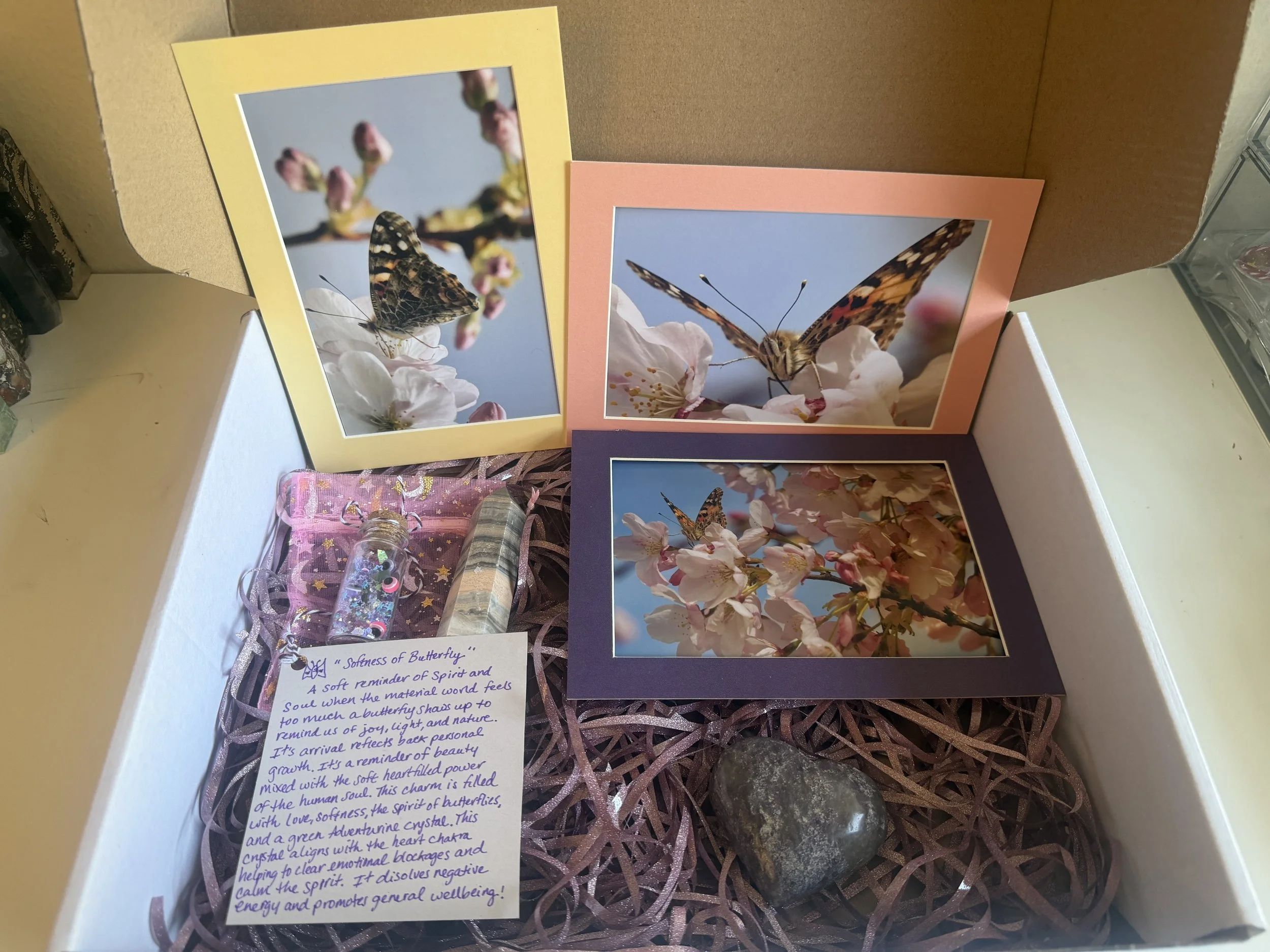 Essence of Butterfly Gift Box