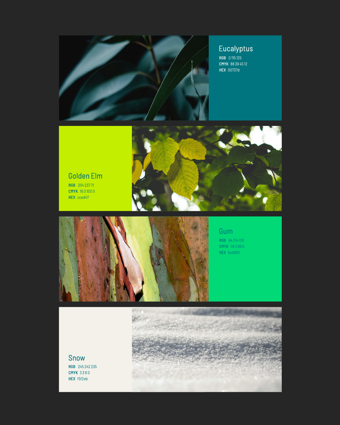 Four color swatches with photographs and information: eucalyptus leaves, golden elm leaves, bark, and snow.