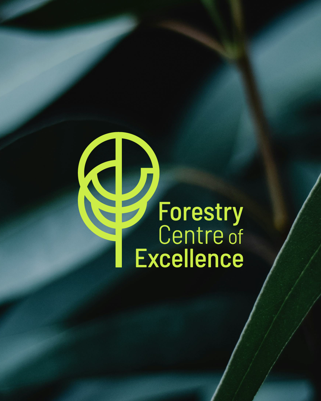 Logo for Forestry Centre of Excellence with a stylized tree design in lime green on a dark green and teal background of leaves