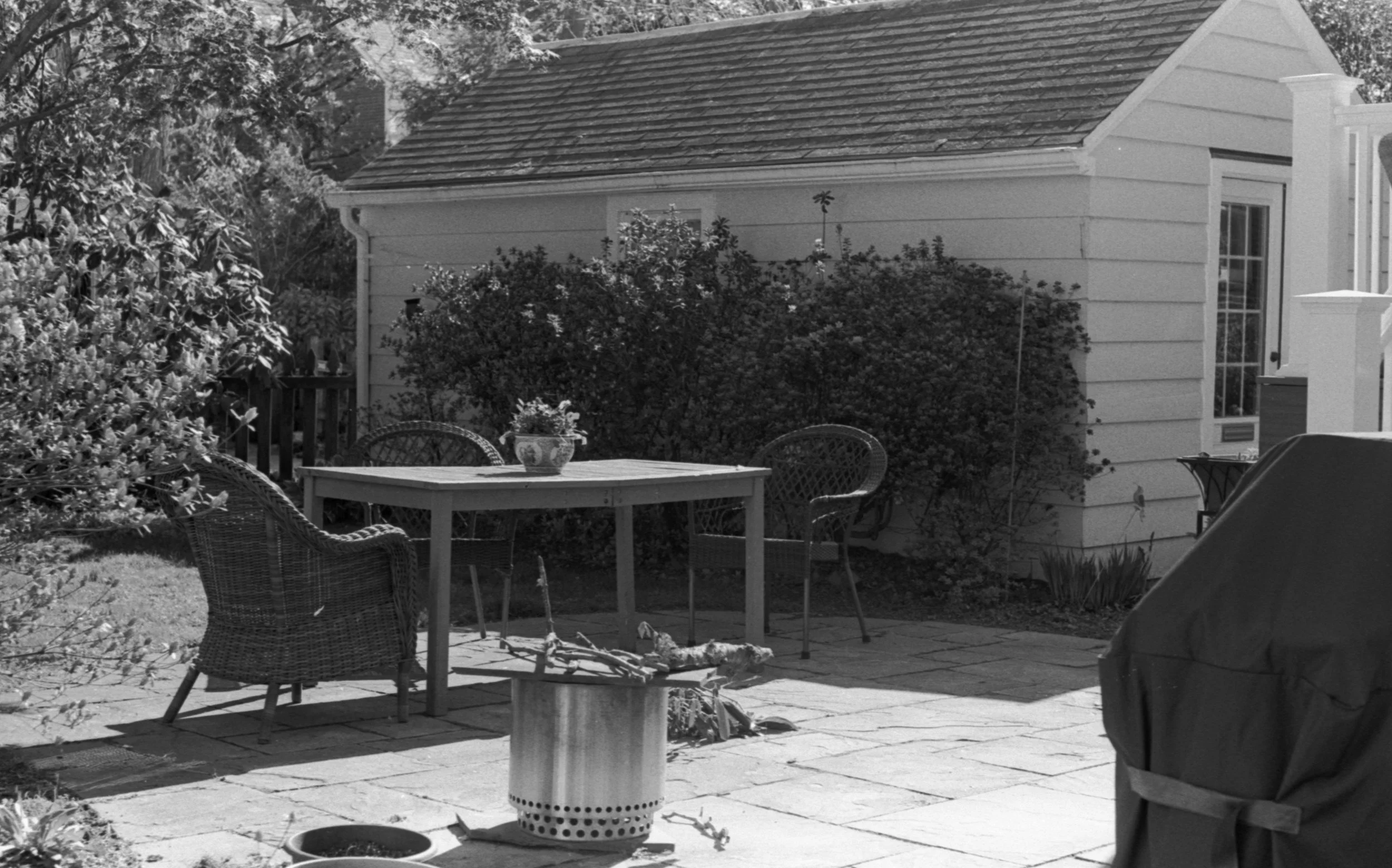 Backyard patio with outdoor furniture (a table, chairs, solo stove fire pit, barbeque, hedge, tree, and a shed in the background with a glass door).