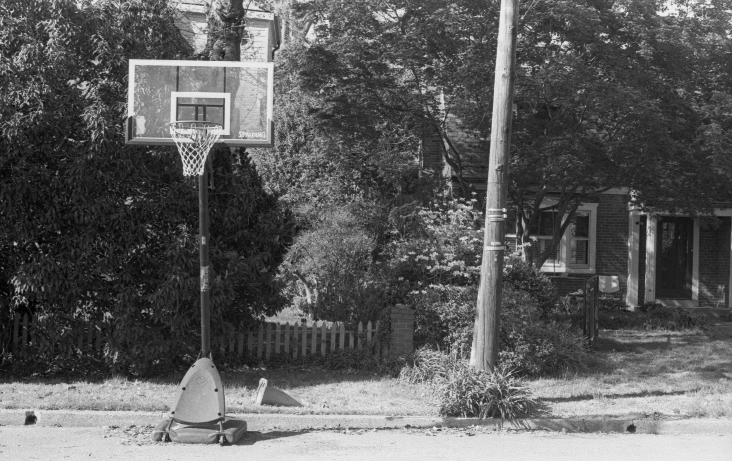 A backyard scene with a basketball hoop, a toy rocket, and a residential house with trees and a fence. ///////