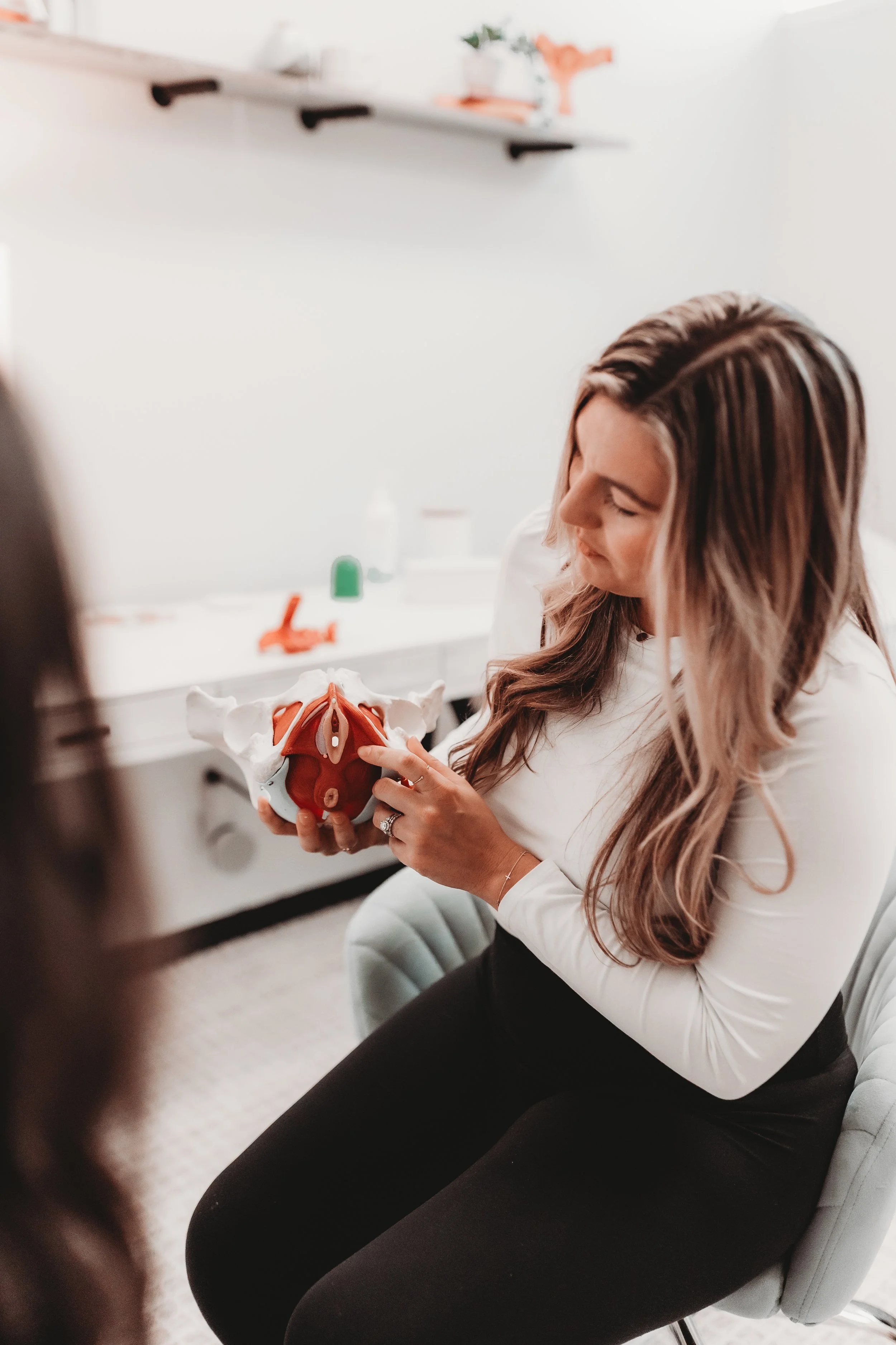 Pelvic floor therapist reviewing pelvic floor muscle anatomy model during patient education consultation in Pasco County Florida