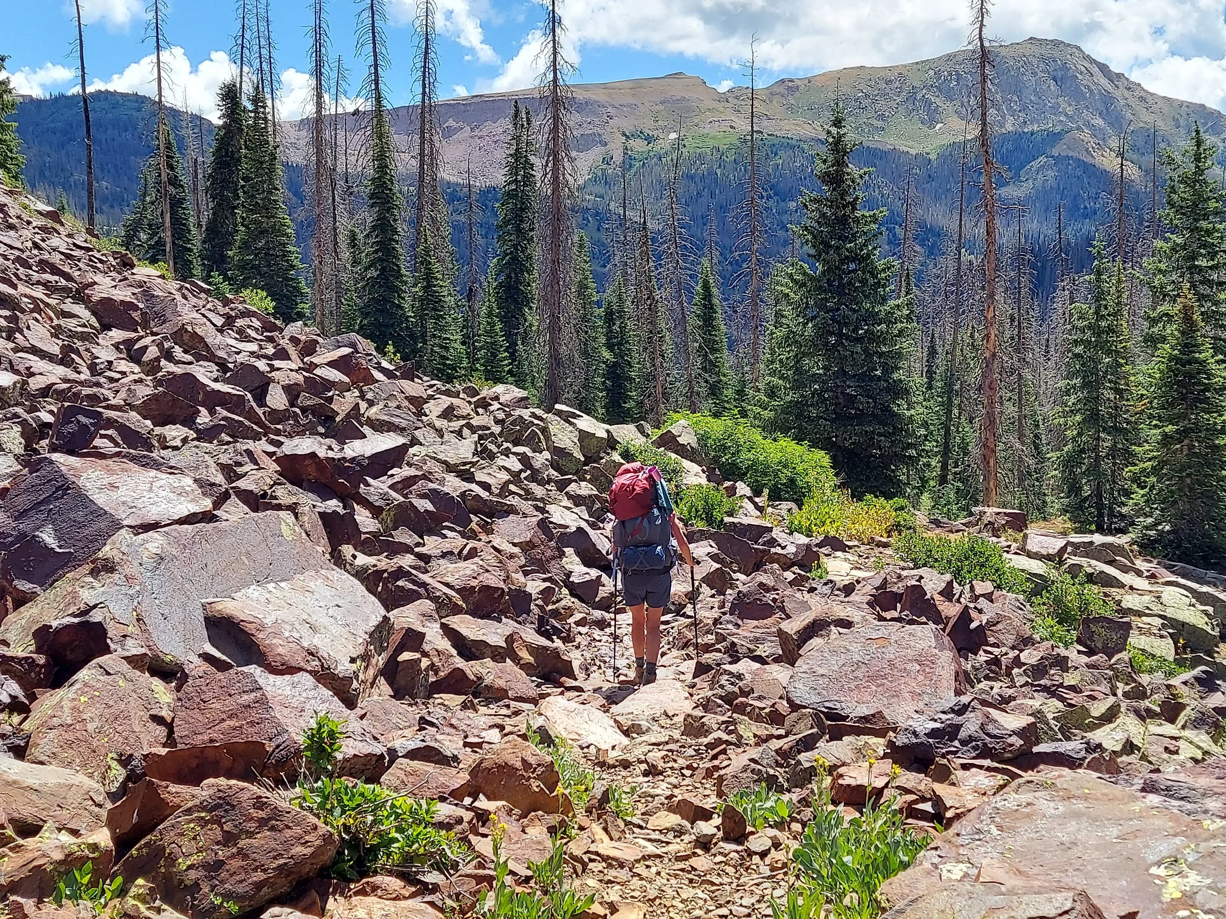 Hiker with a red backpack walking on a rocky trail in a forested mountain landscape with tall trees, mountain peaks, and blue sky with clouds in the background.