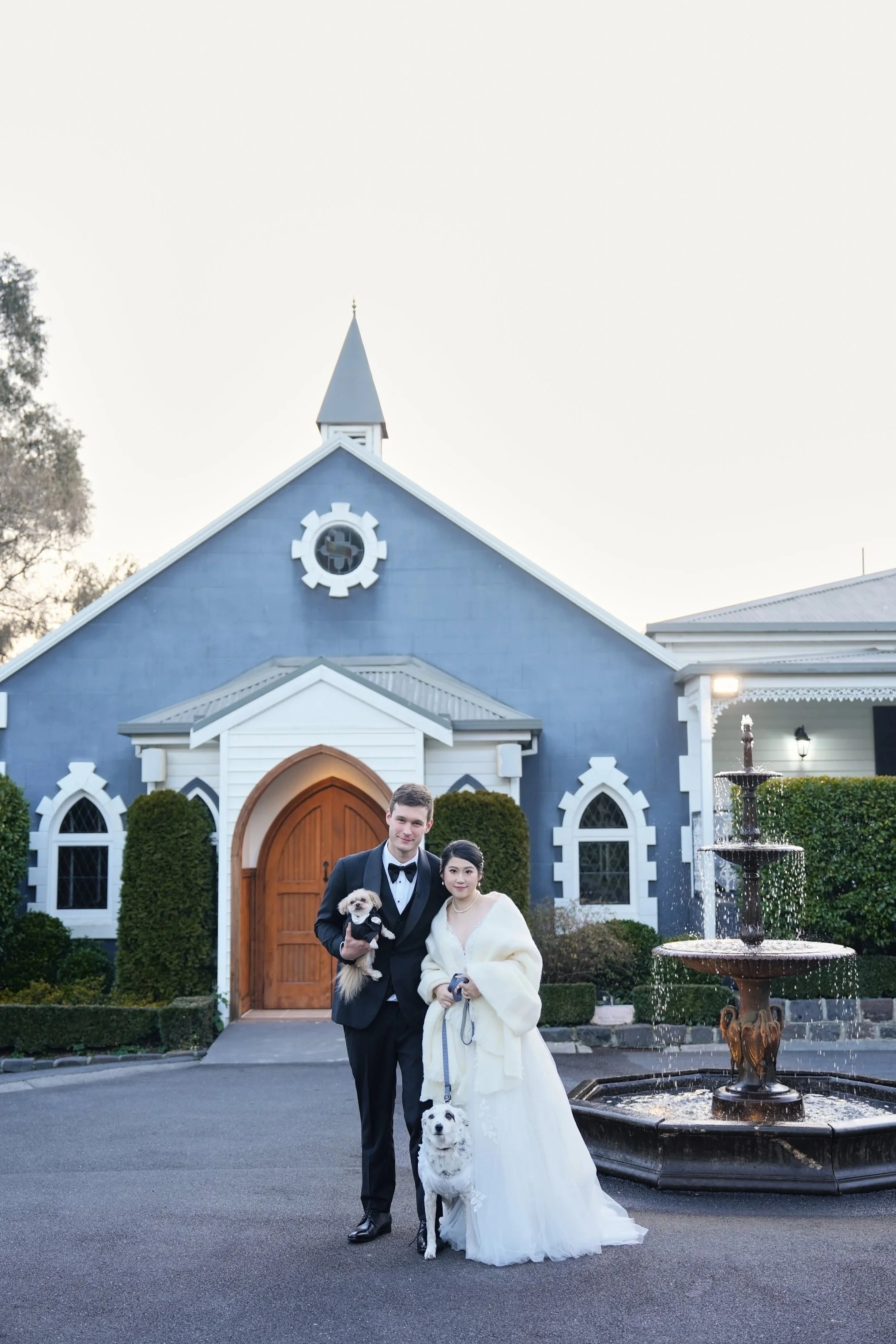 A newlywed couple in wedding attire standing in front of a blue church with two dogs, one in the groom's arms and one on a leash, near a fountain.
