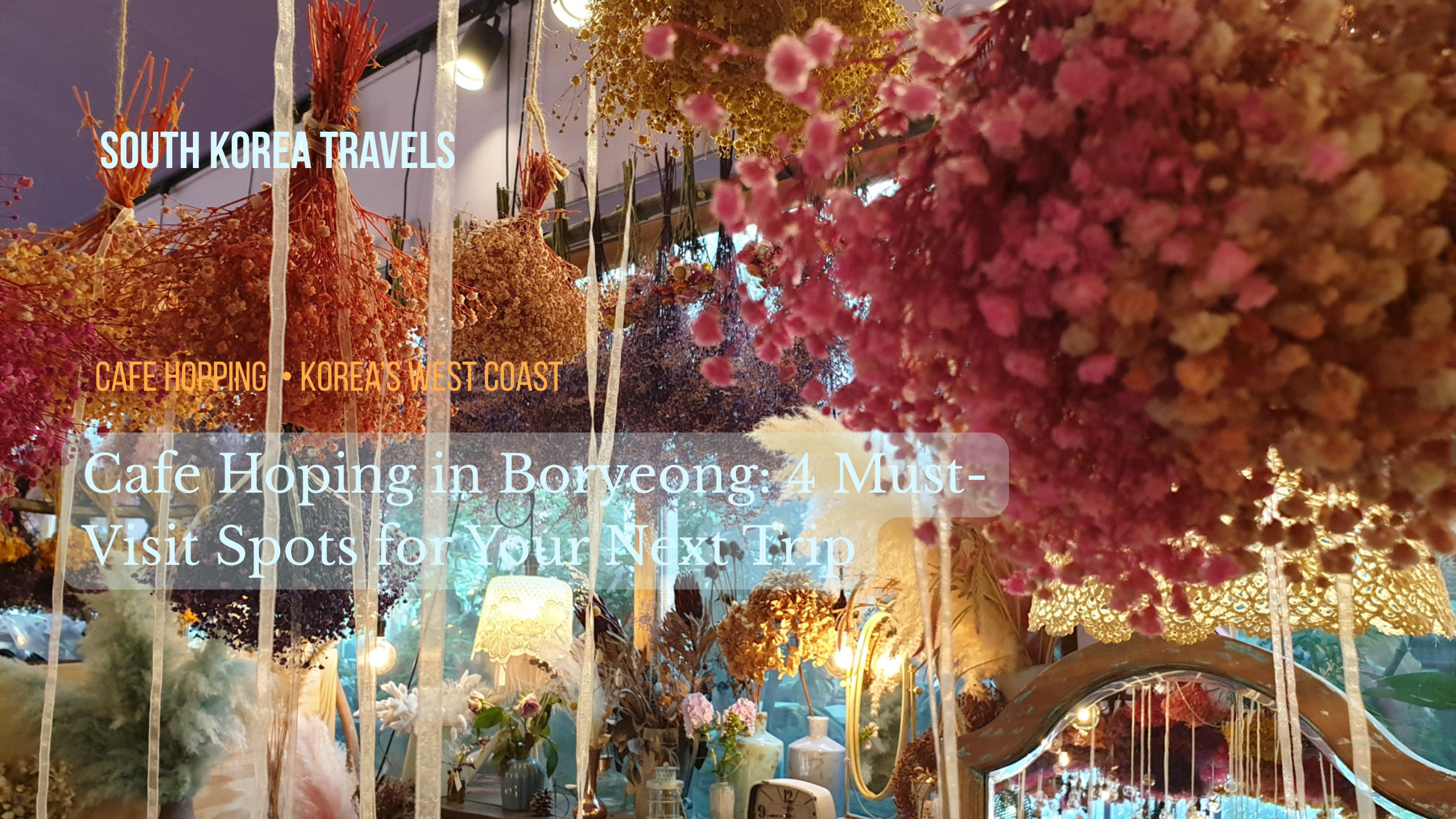 Cafe Hopping in Boryeong: 4 Must-Visit Spots for Your Next Trip