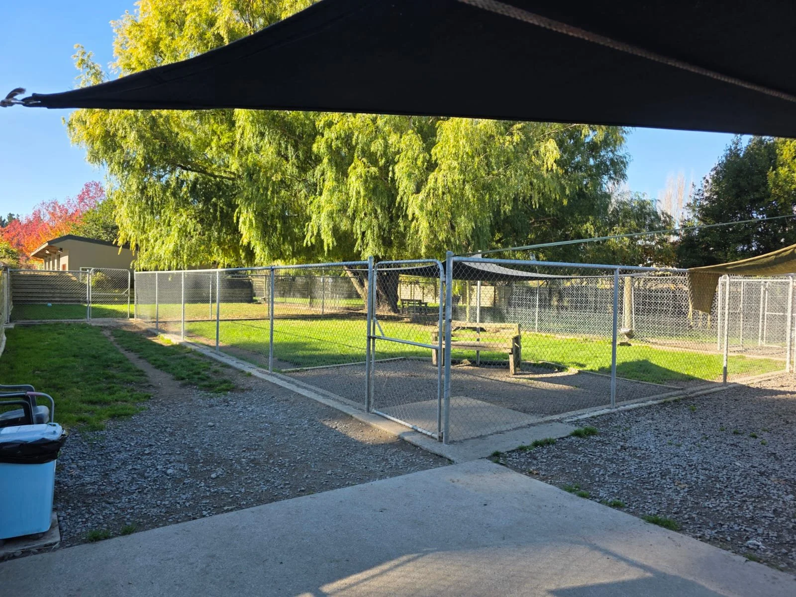 A fenced dog park with a grassy area, trees, and a picnic table. The photo is taken from beneath a canopy, with a shaded area at the top of the image and a trash can in the foreground.
