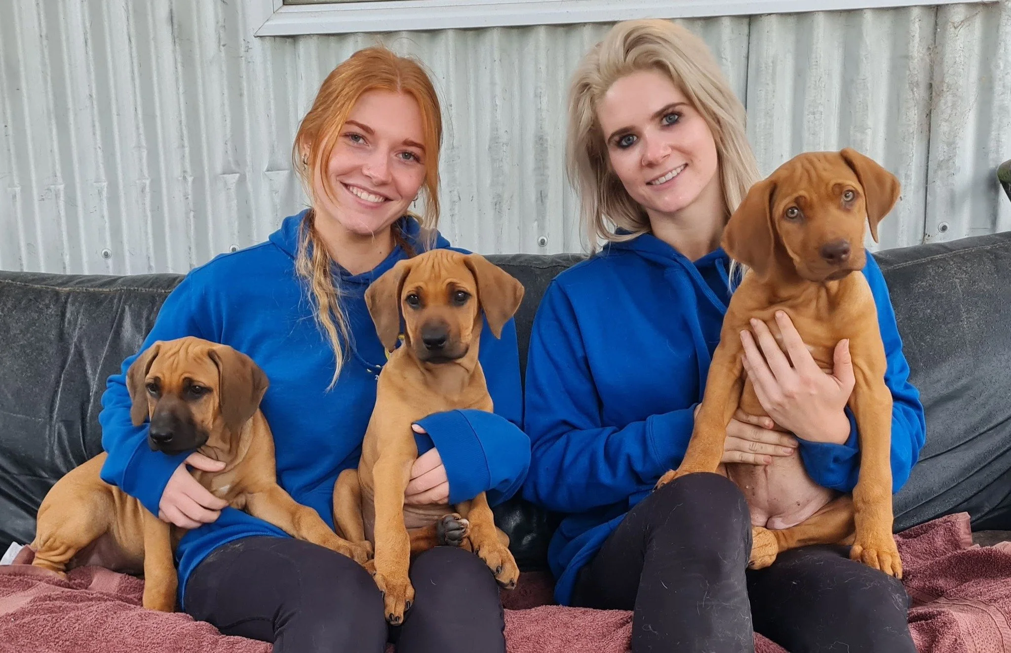 Two smiling blonde women sitting on a black leather couch, each holding a brown puppy, with a metal wall background in a casual setting.