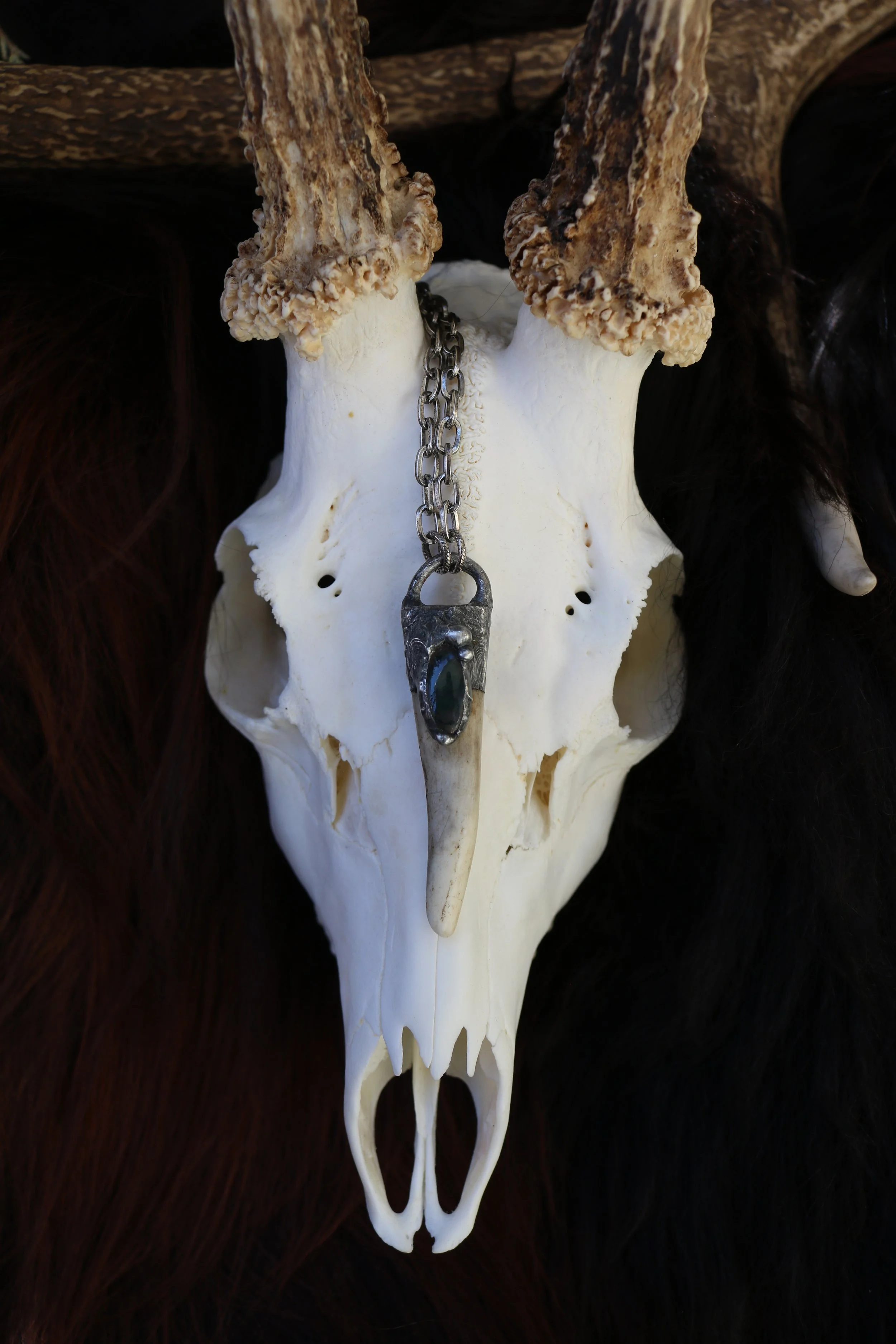 Eostre ~ Small Deer Antler Tip Adorned with Moss Agate