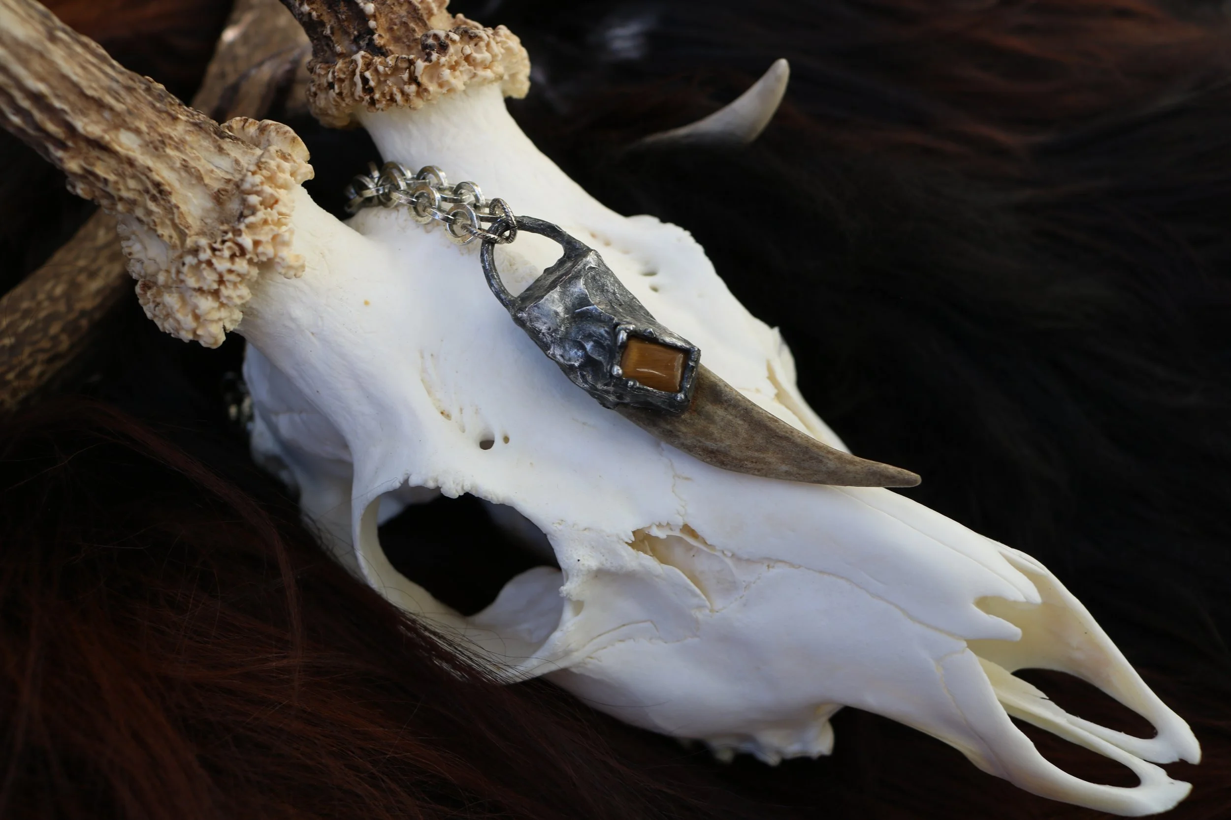 Eostre ~  Small Deer Antler Tip Adorned with Tigers Eye
