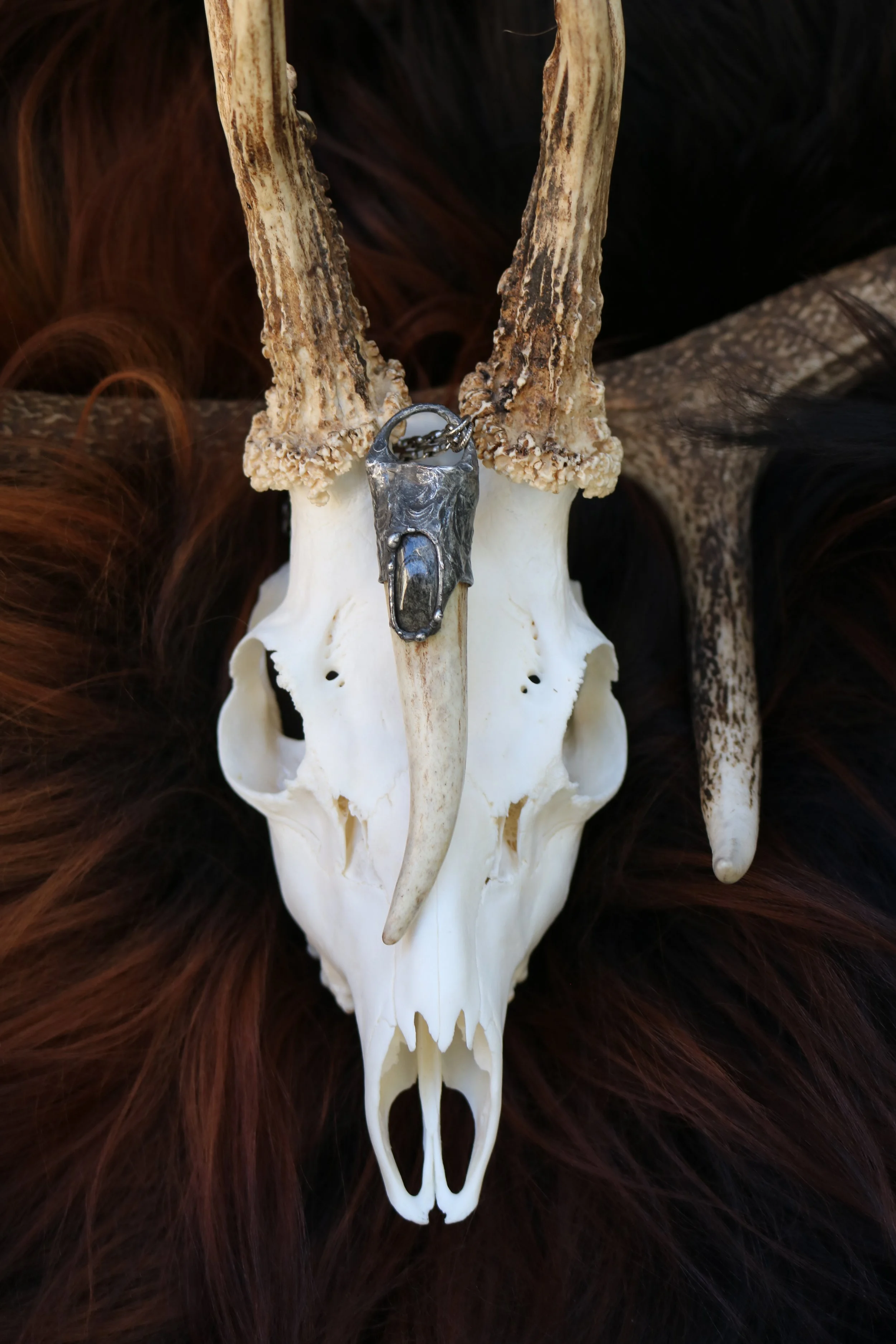 Blood Moon Eclipse ~ Deer Antler Tip Adorned with Silver Obsidian
