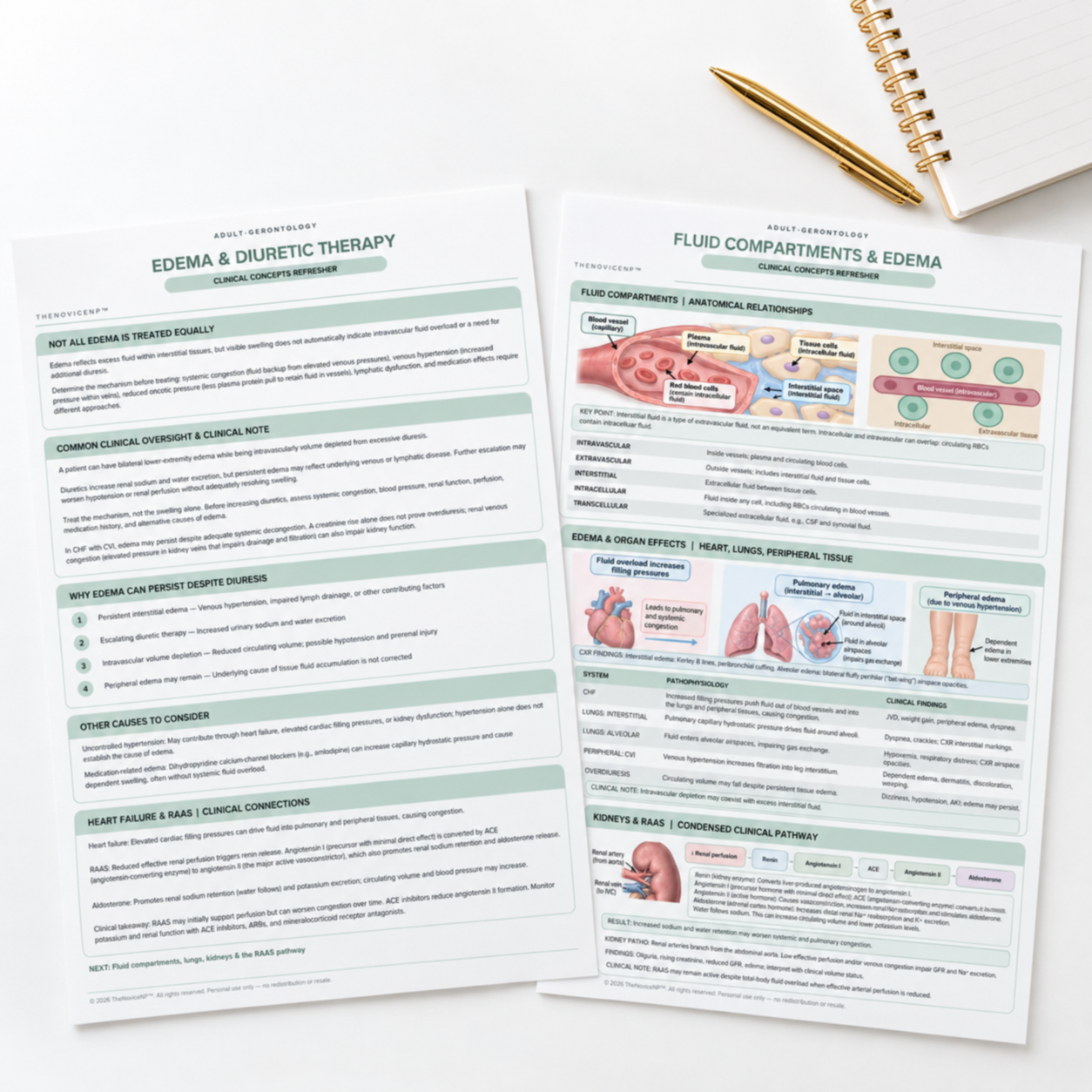 Edema+and+Fluid+Compartments+Clinical+Handouts+Template.png