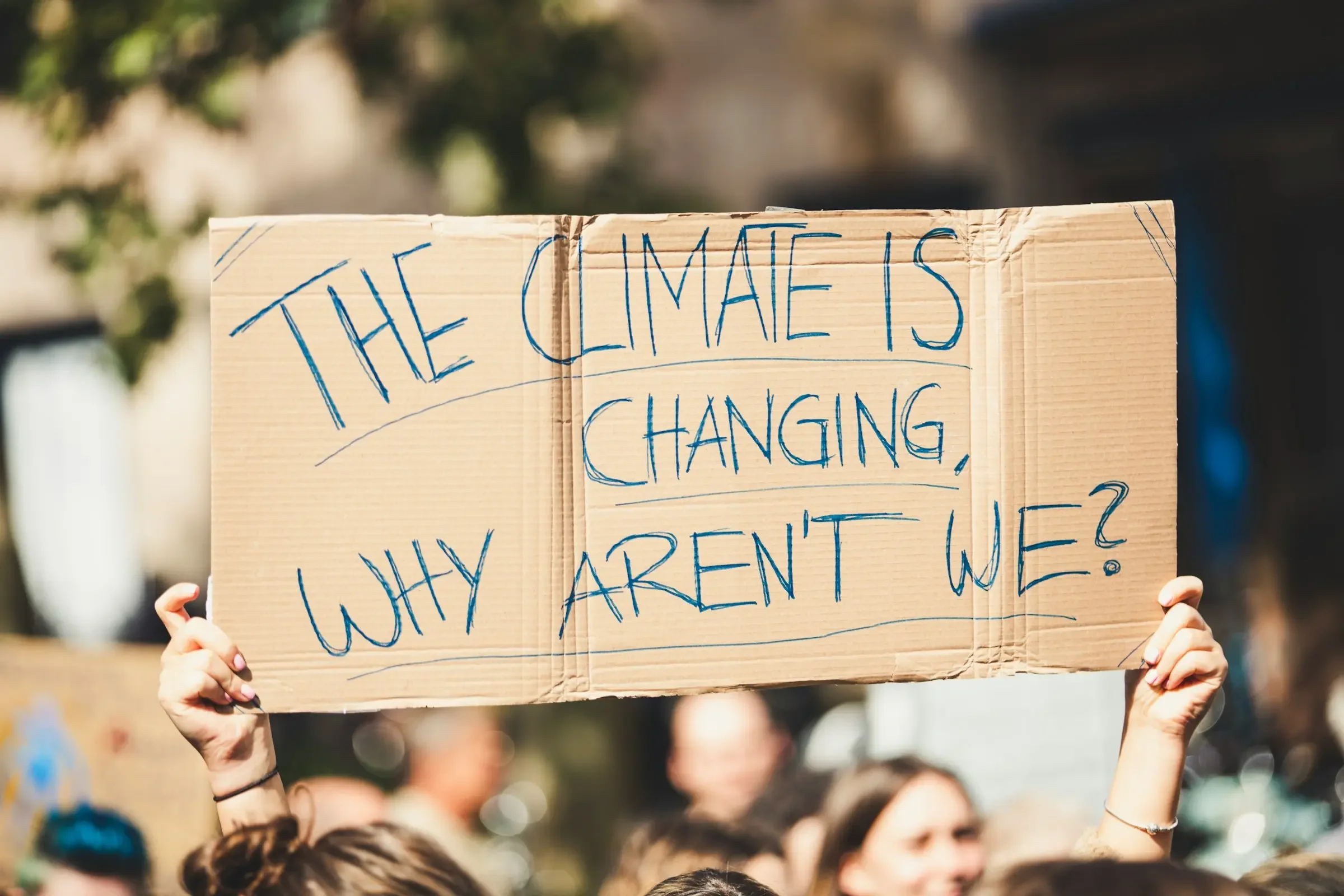 Person holding a cardboard sign that reads, "The climate is changing, why aren't we?" at an outdoor protest or rally with a crowd.