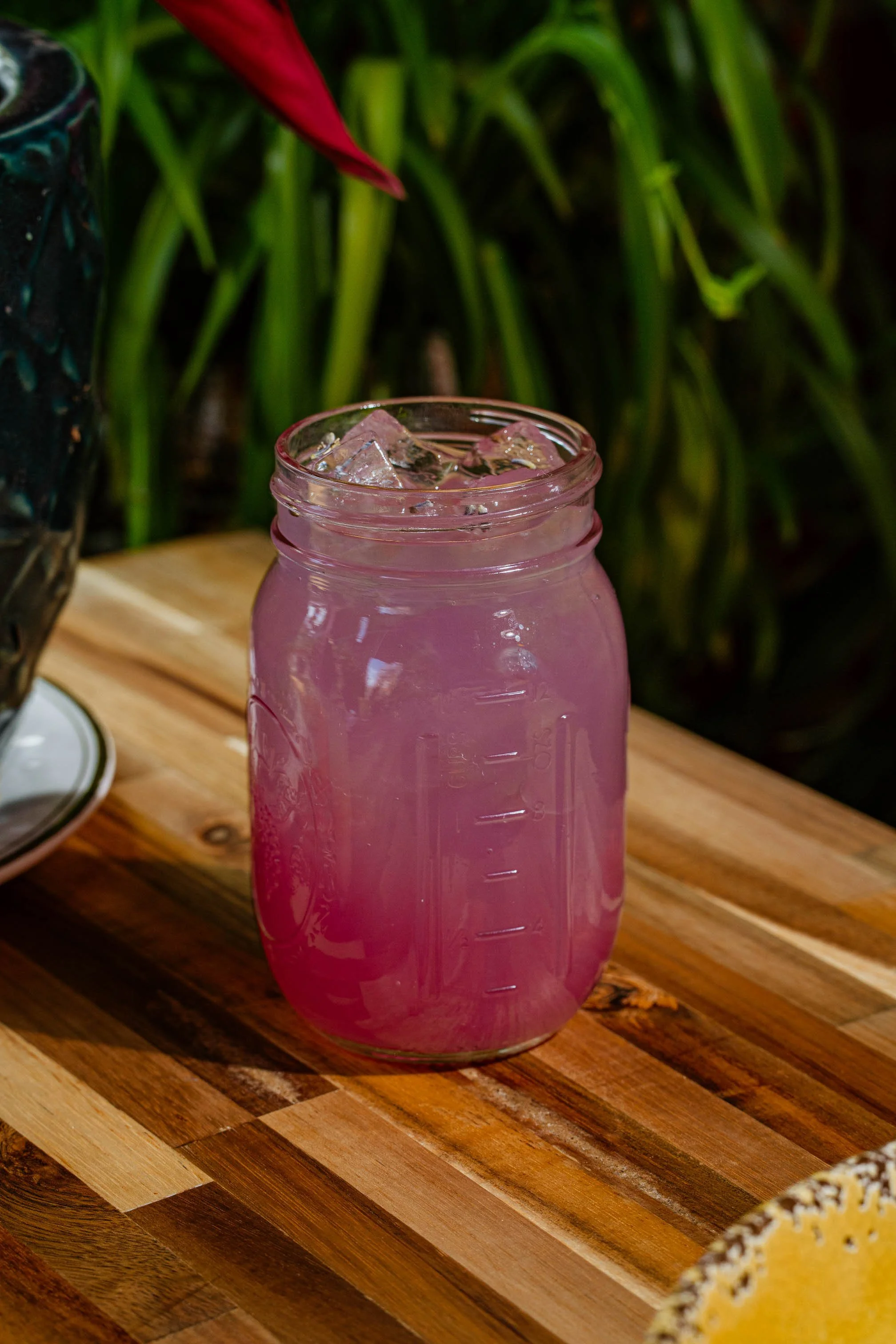 Butter fly Lemonade-3.jpg