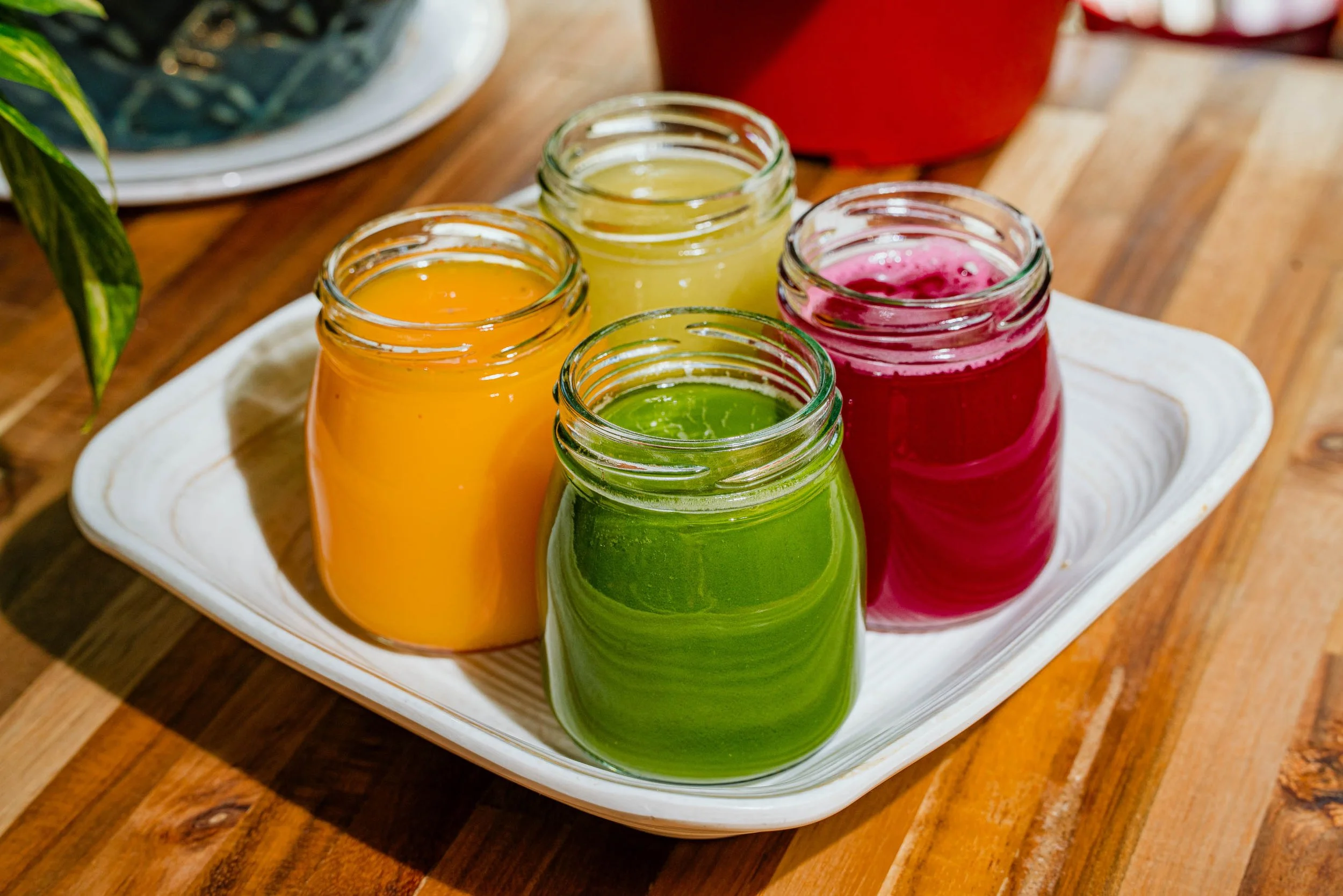 Juice Flight-2.jpg