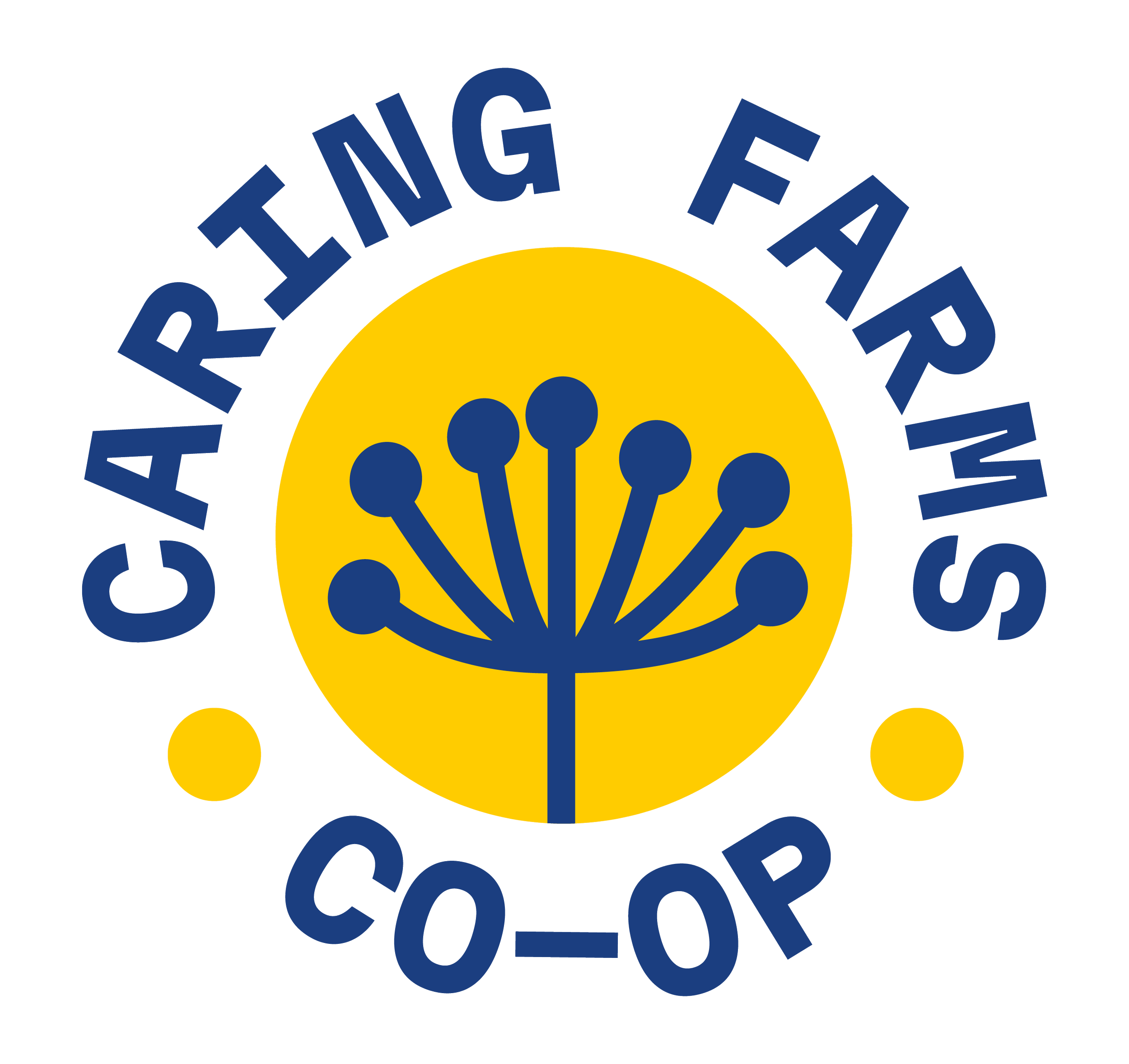 Circular logo with blue text saying 'TRIANGLE FACILITY' around a yellow circle with a blue geometric design in the center.