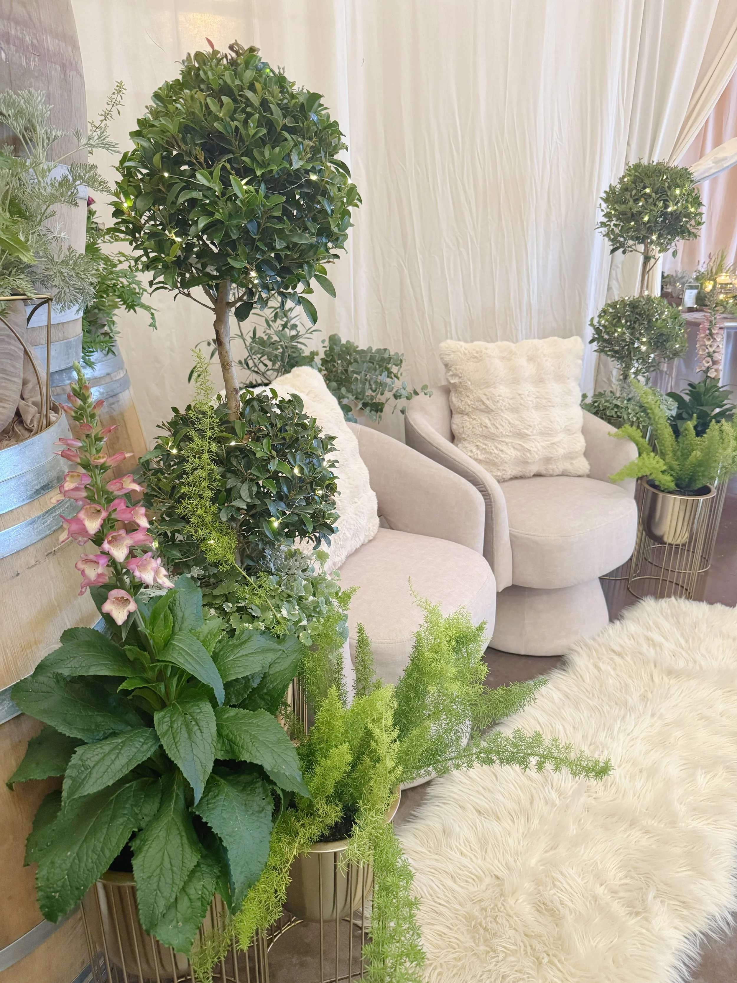 Seating Area (1).jpeg