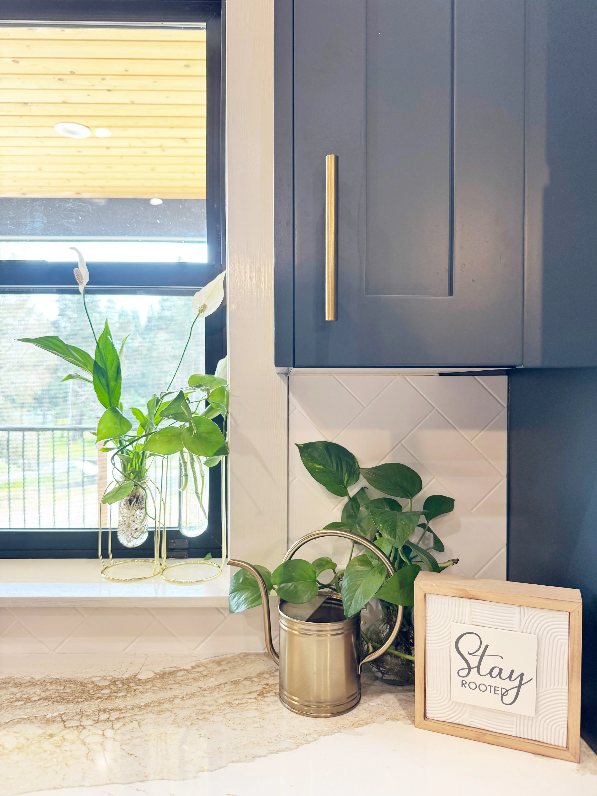 Airbnb Staging ~ Furnished