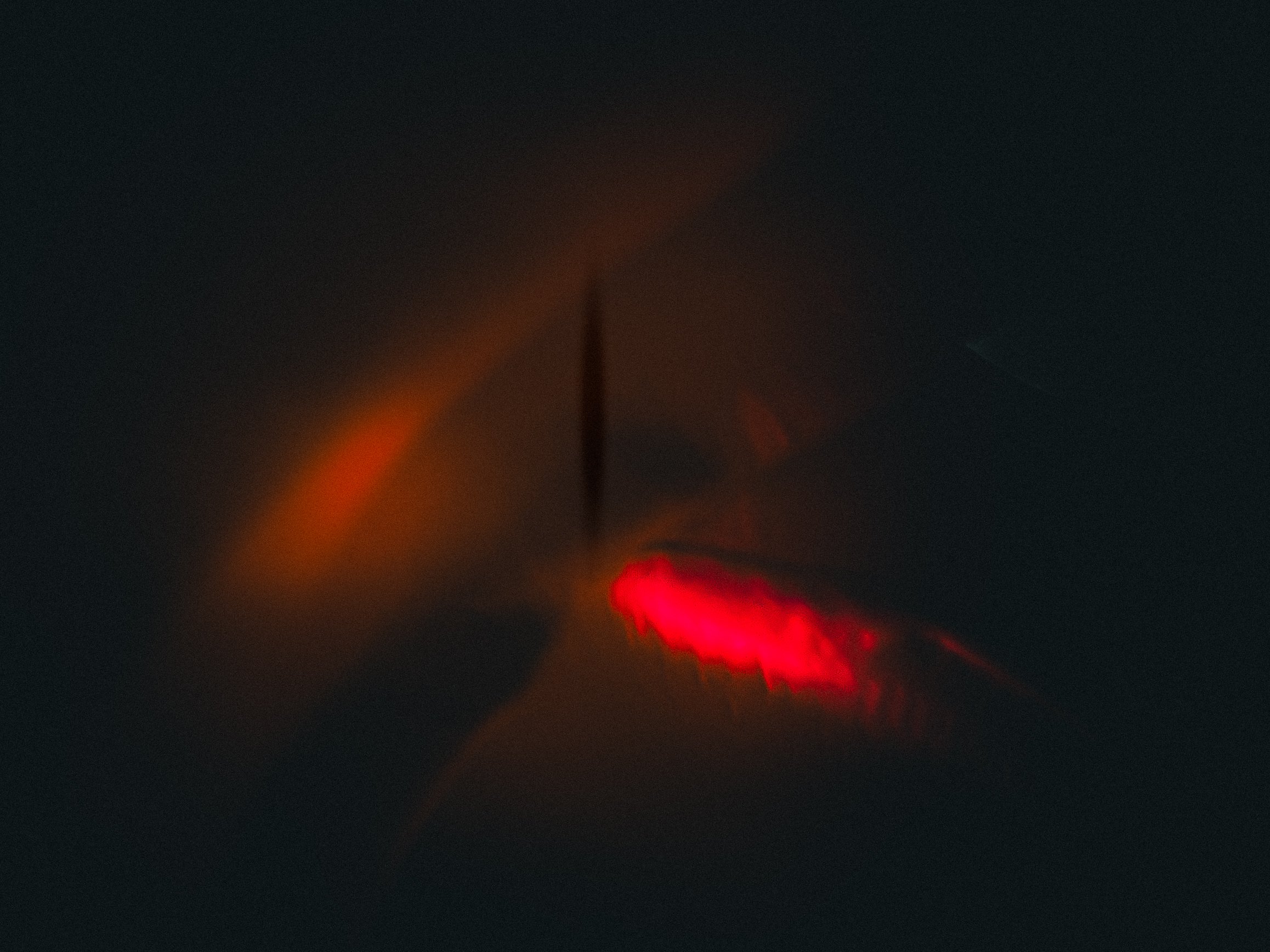 Body Memory in Red