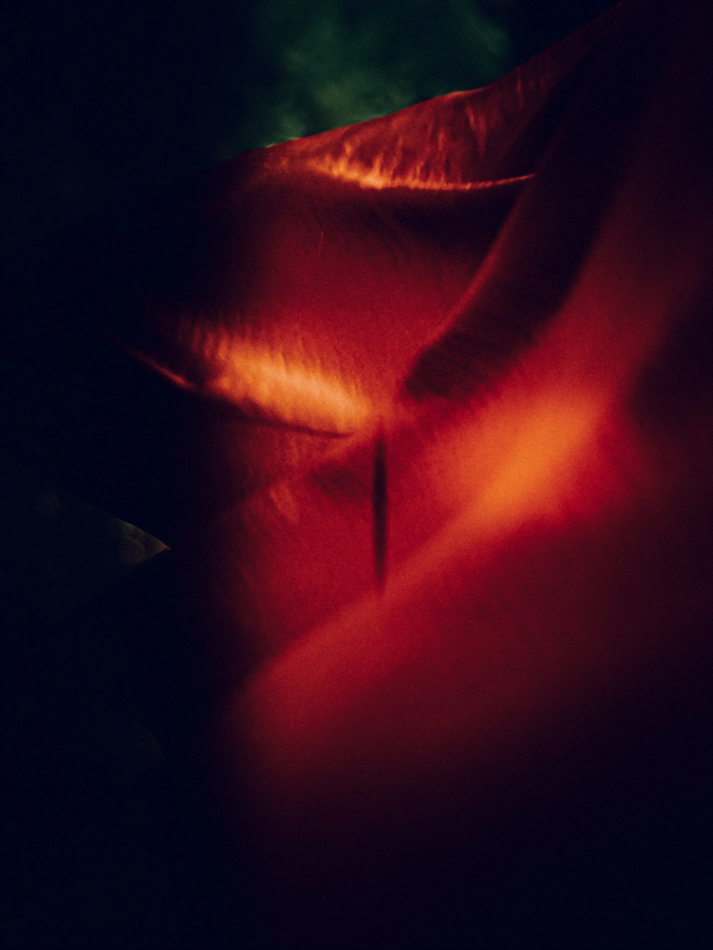 Fabric Memories