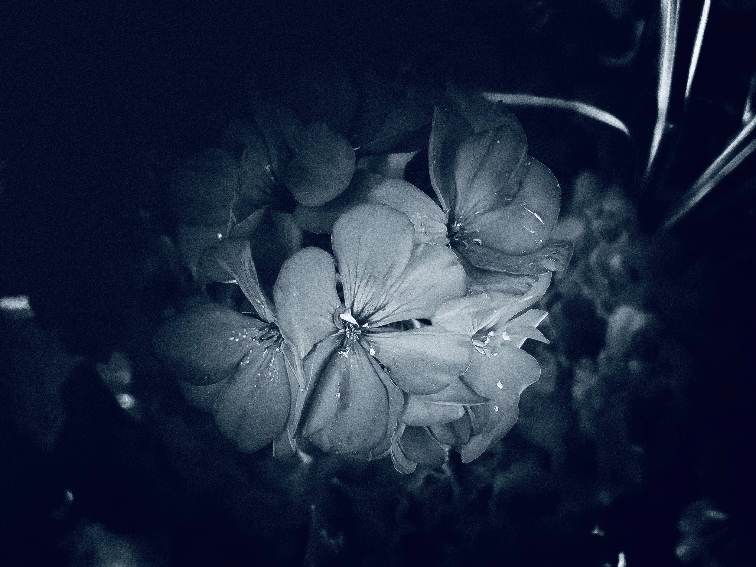 Watered Down