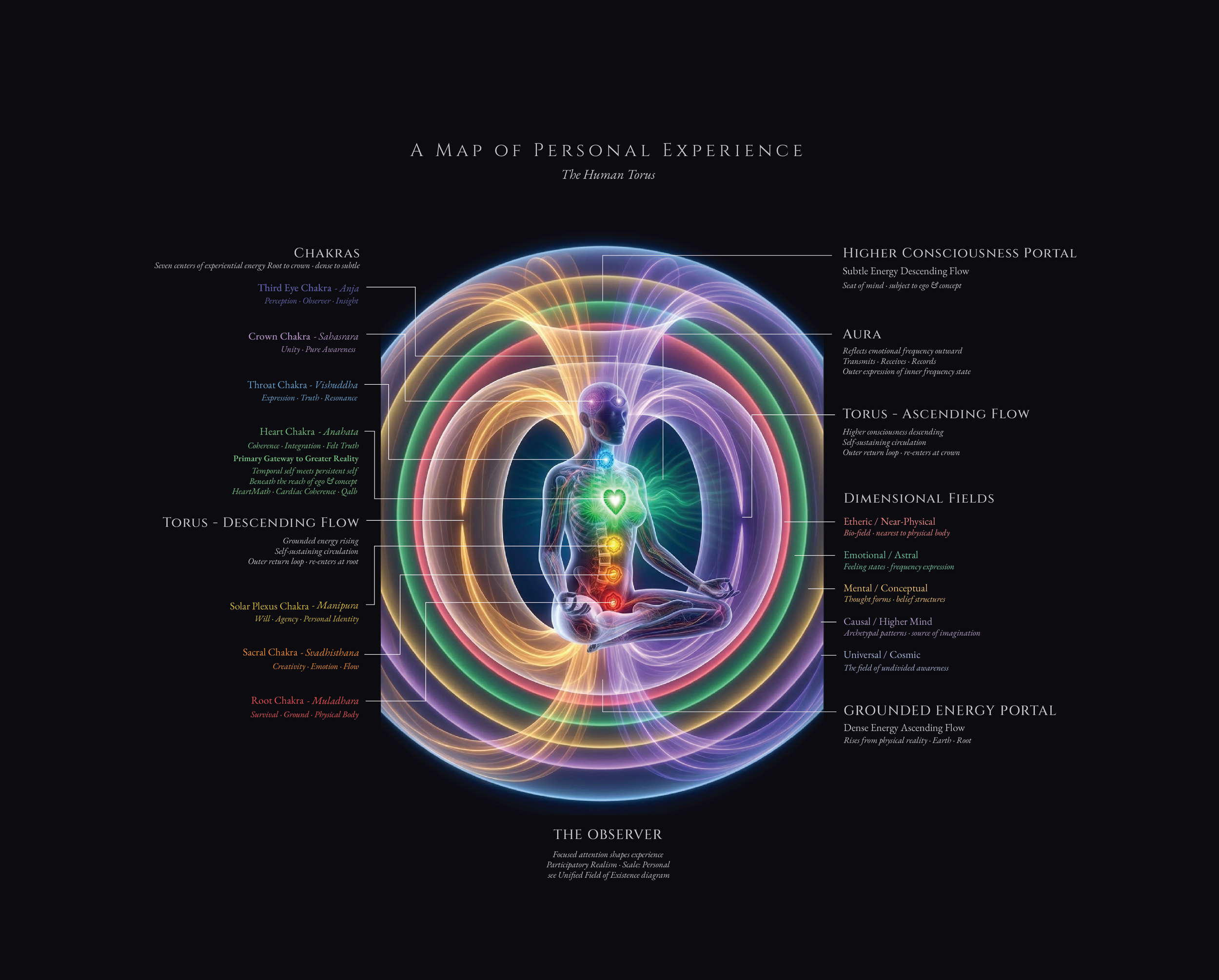 Diagram of the Map of Personal Experience at persoanl scale -- illustrating the individual torus, its dynamics, and its relationship to the larger field through the Participatory Loop, as developed in the Participatory Realism Framework