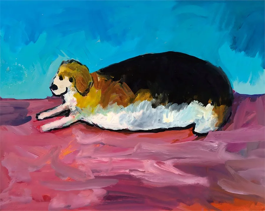 Beagle feliz