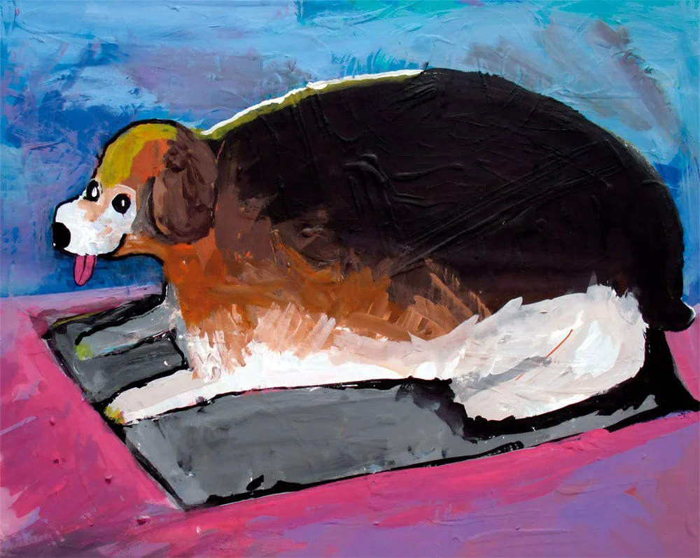 Beagle XL