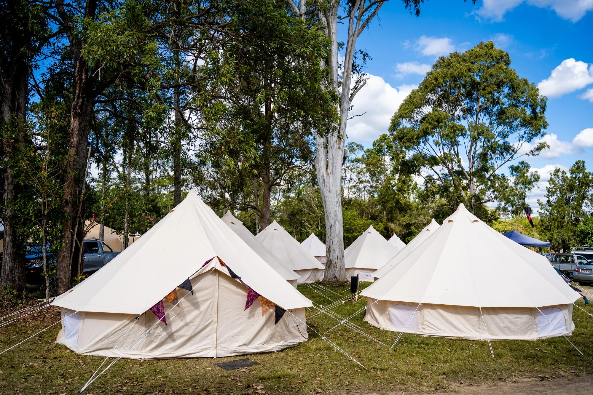 Multiple white tents set up outdoors among tall trees under a partly cloudy sky.
