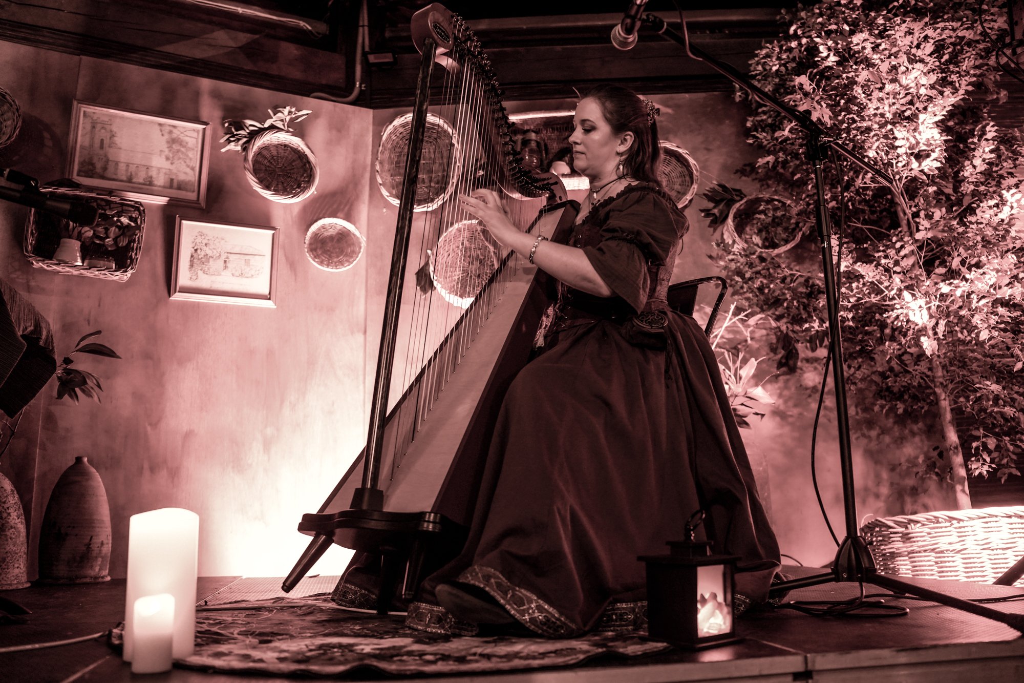 A woman dressed in historical costume playing a harp during a performance in a warmly lit room decorated with framed pictures, baskets, a large artificial tree, candles, and lanterns.
