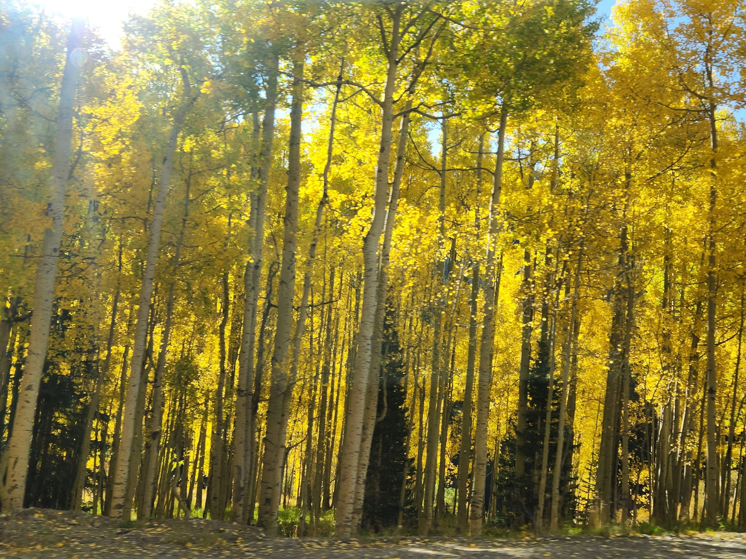 20220928_091616.jpg