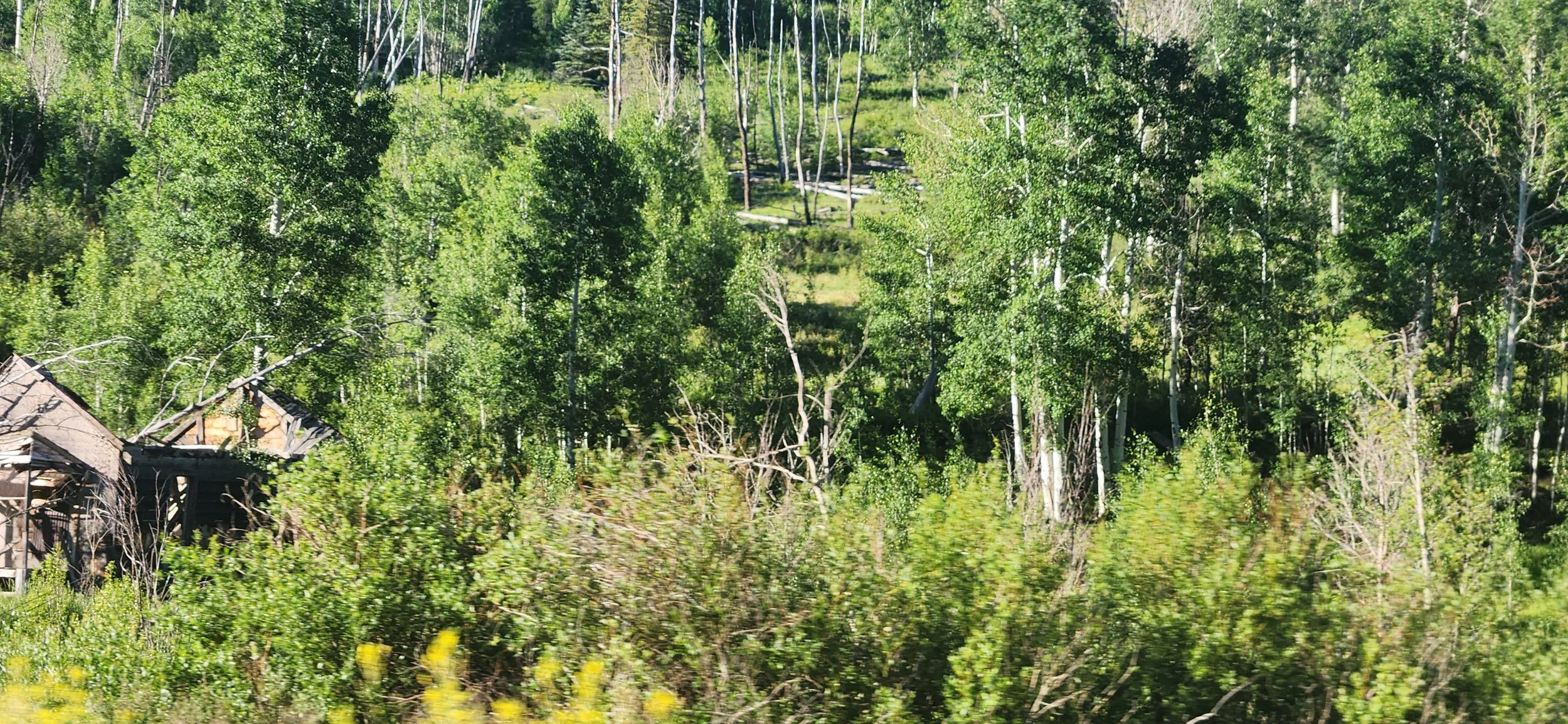 20230710_075037.jpg