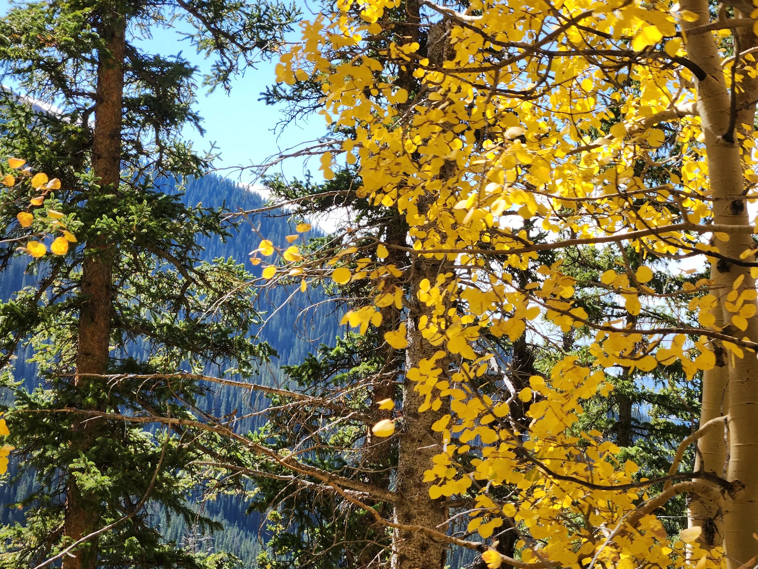 20220928_105443.jpg