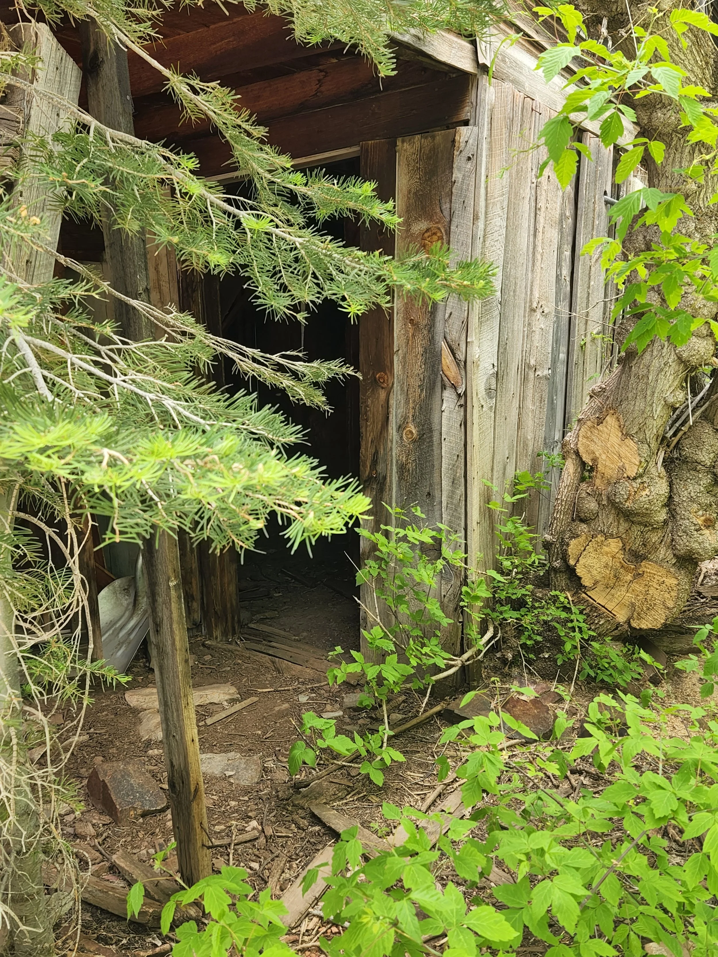 20220609_123146.jpg