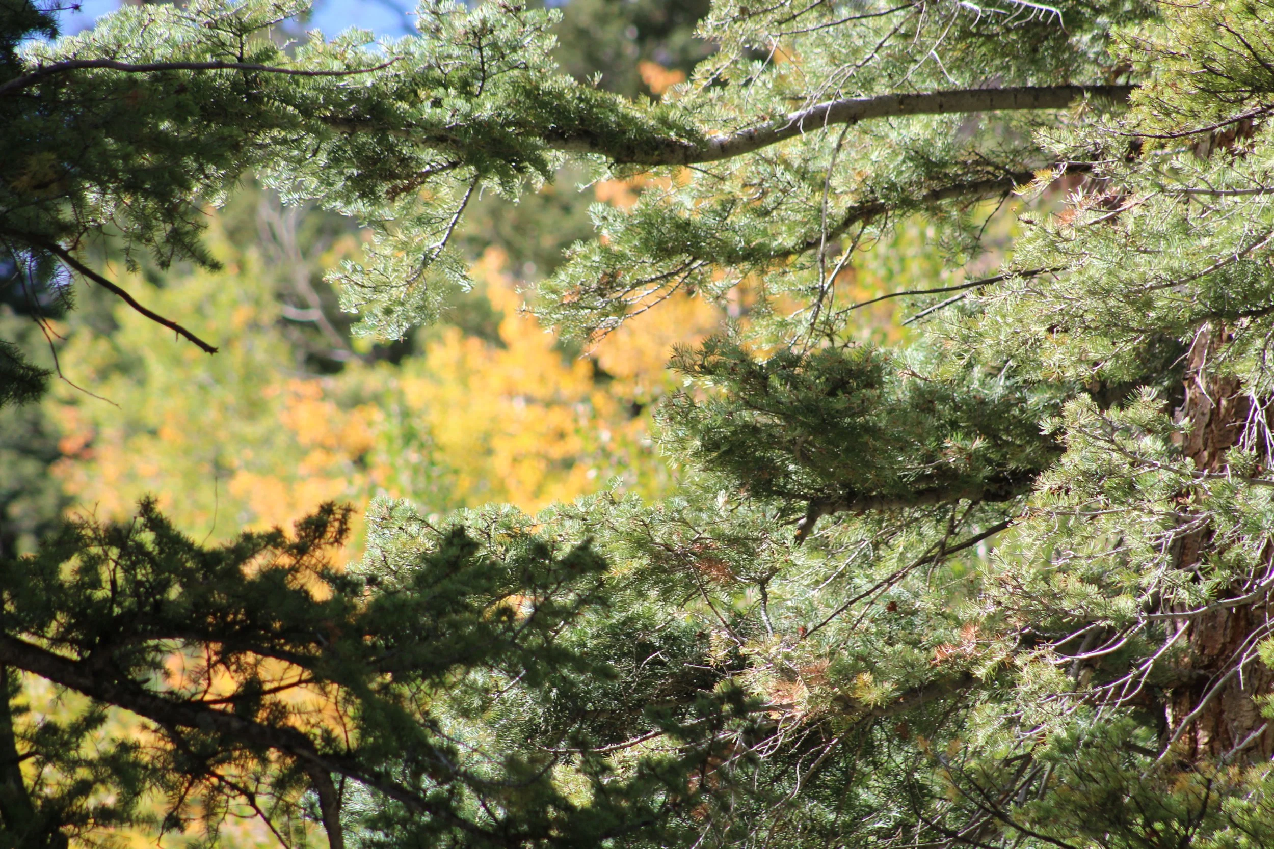 IMG_2473.JPG