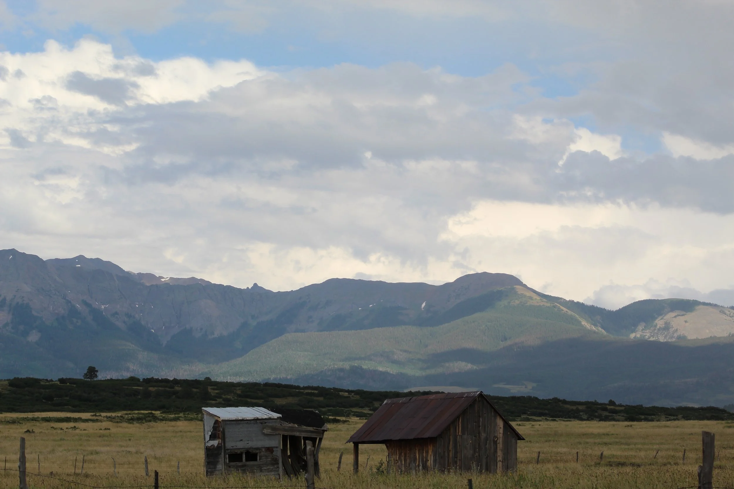 IMG_3487.JPG