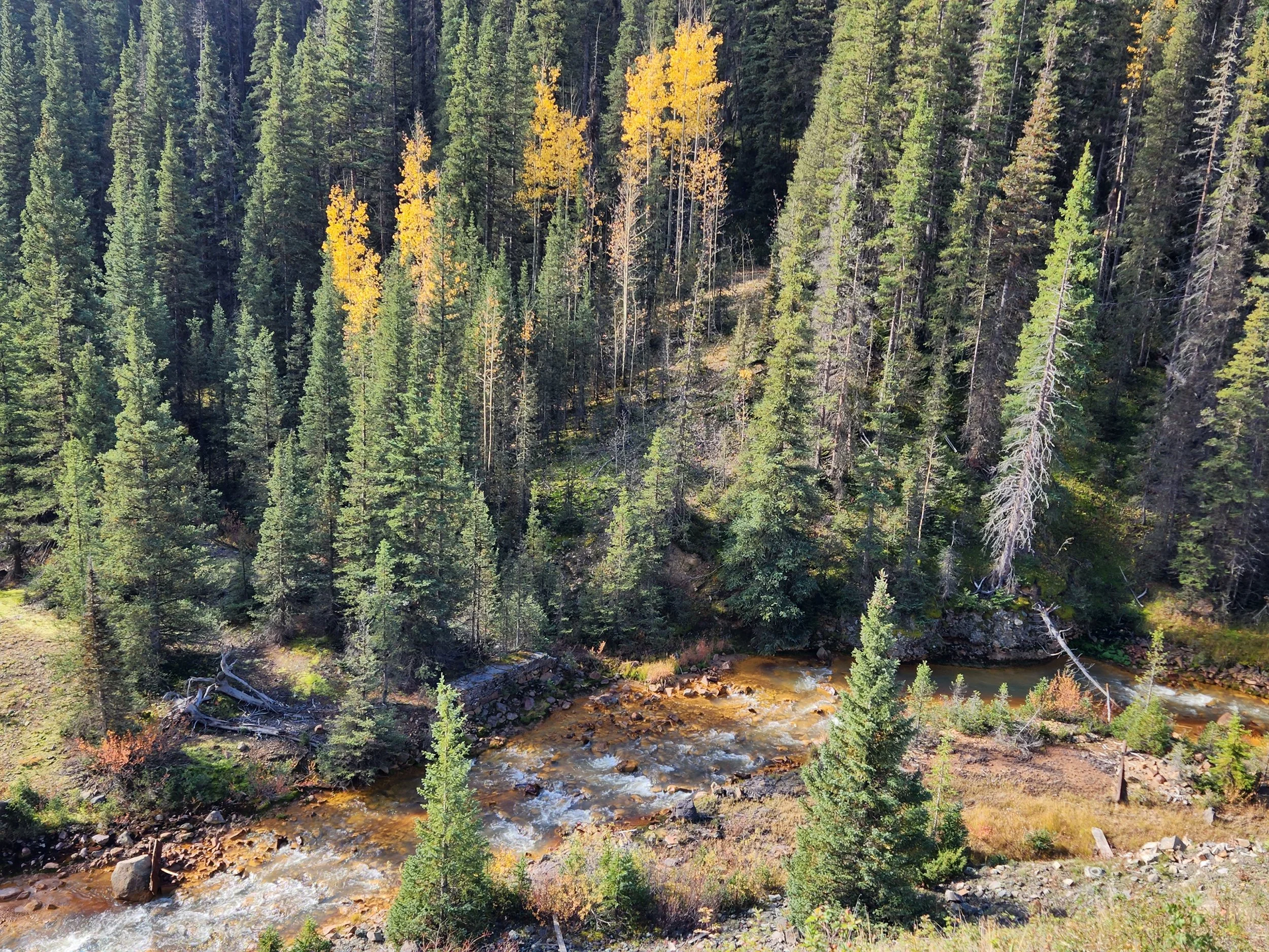 20220928_095243.jpg